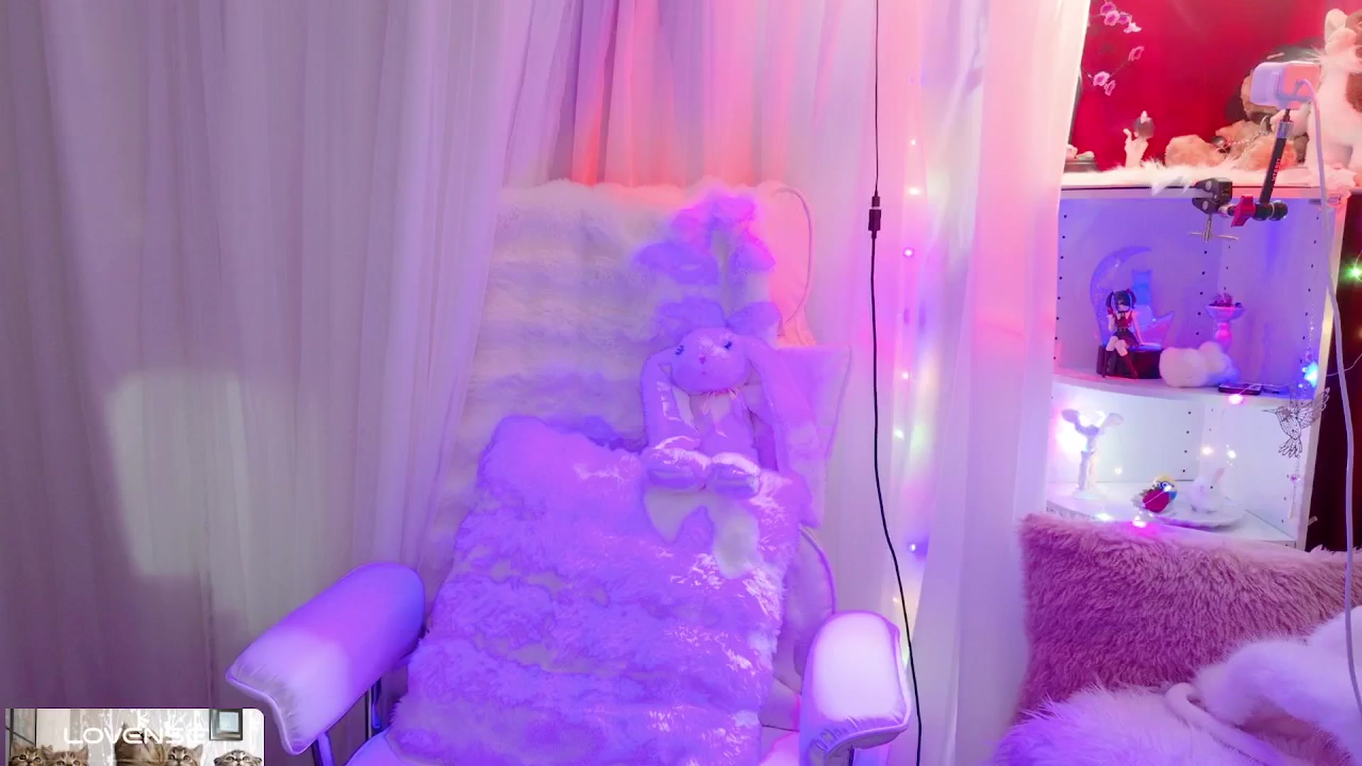 Gallery image thumbnail from meows's myfreecams stream on, 04/28/2024, 05:43 image 1 of 20