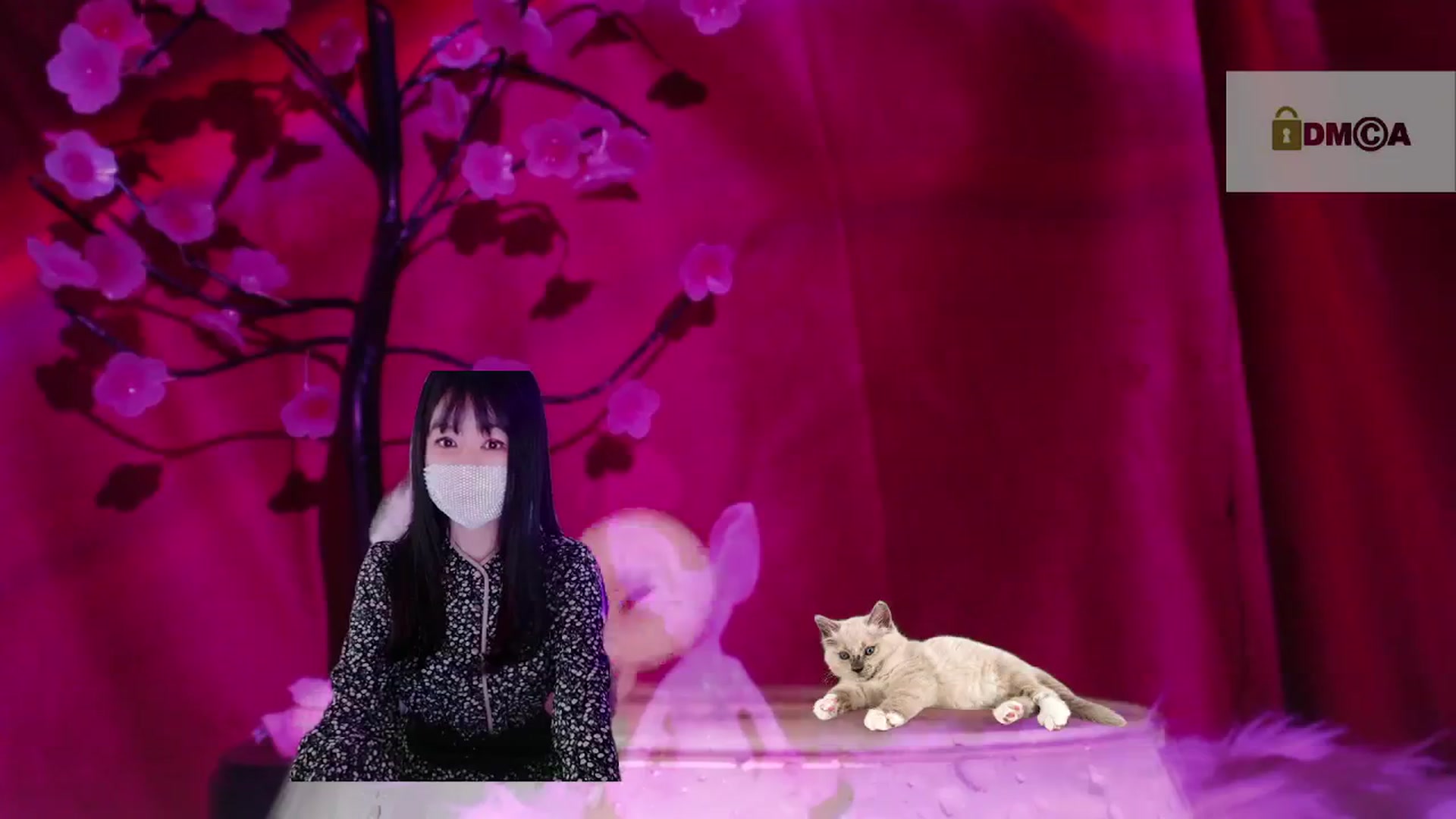 Gallery image thumbnail from meows's myfreecams stream on, 05/02/2024, 05:42 image 4 of 20