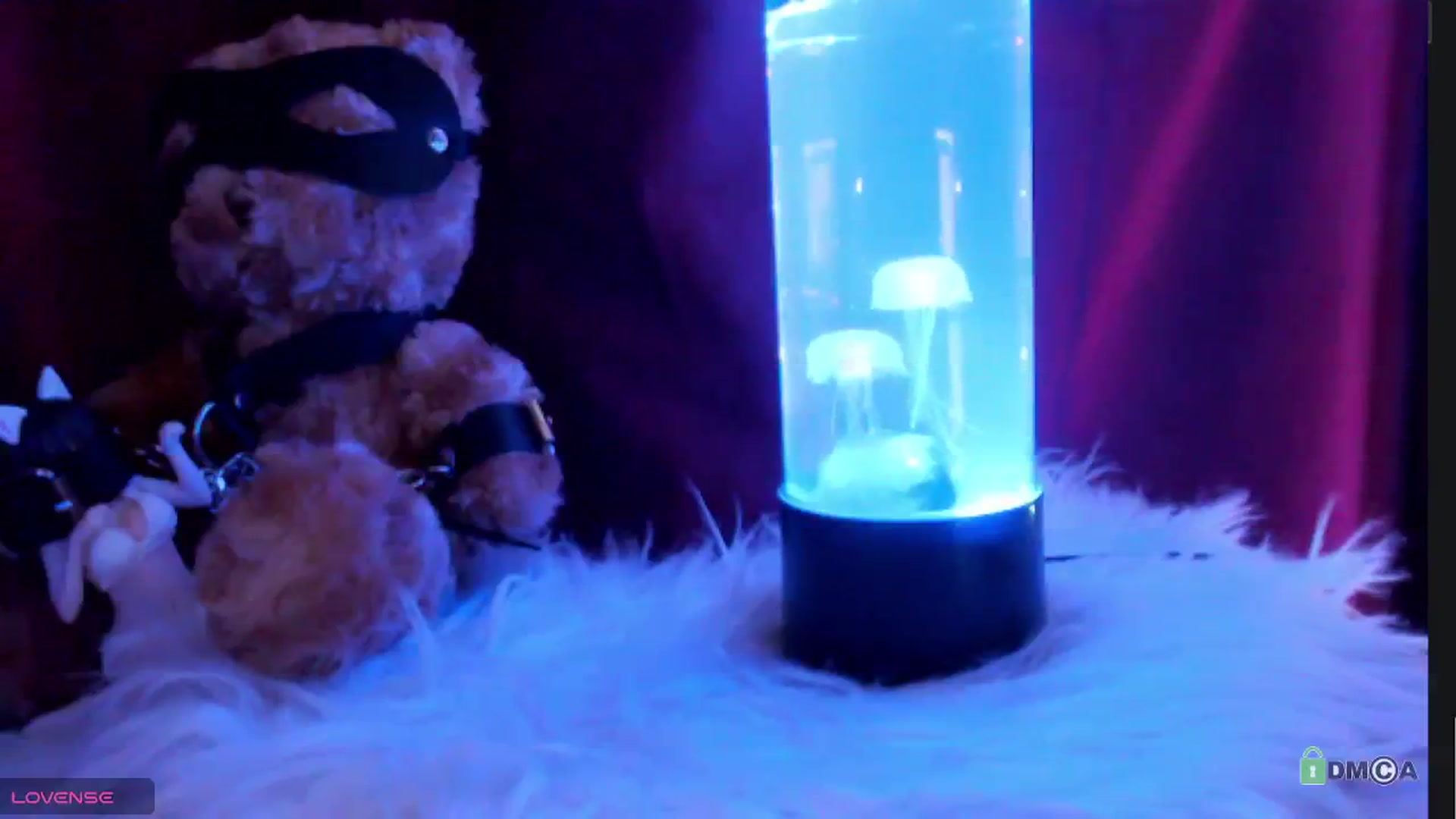 Gallery image thumbnail from meows's myfreecams stream on, 05/11/2024, 05:43 image 2 of 20