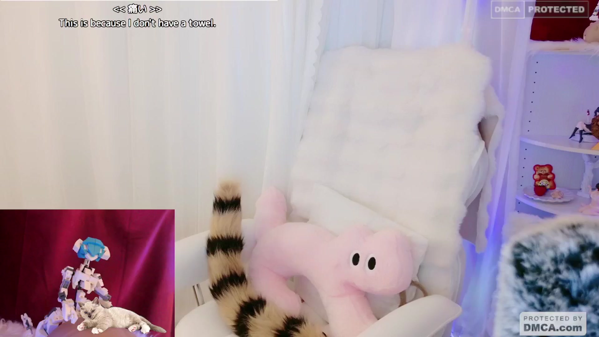 Gallery image thumbnail from meows's myfreecams stream on, 05/19/2024, 06:12 image 15 of 20