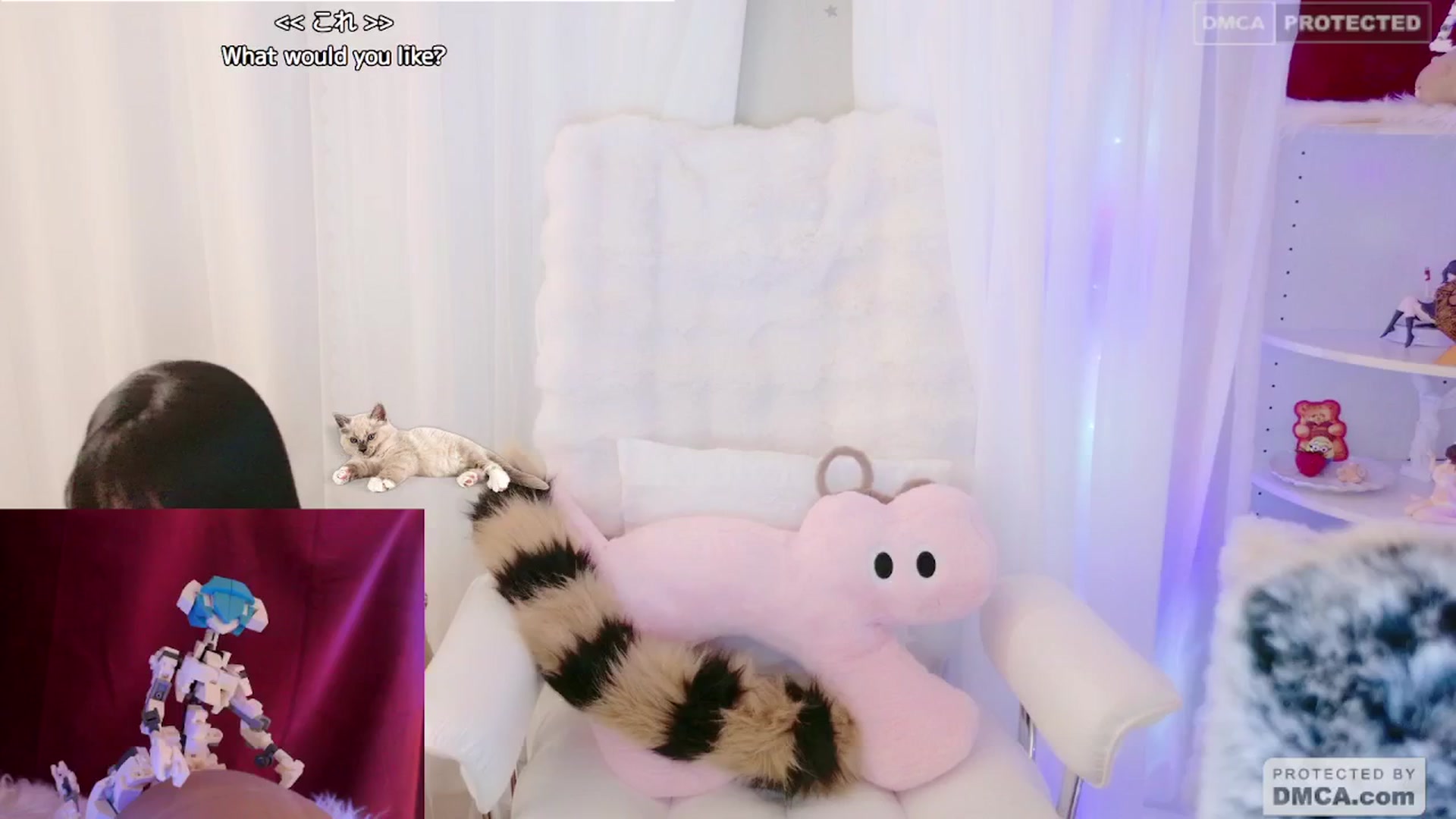 Gallery image thumbnail from meows's myfreecams stream on, 05/19/2024, 06:12 image 9 of 20