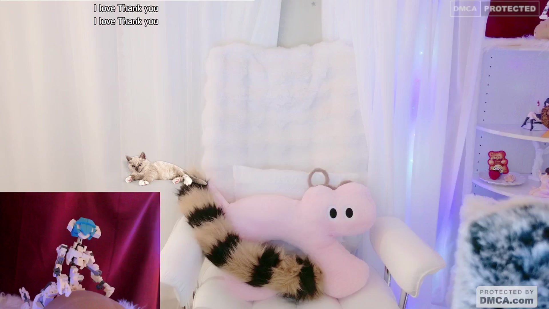 Gallery image thumbnail from meows's myfreecams stream on, 05/19/2024, 06:12 image 8 of 20
