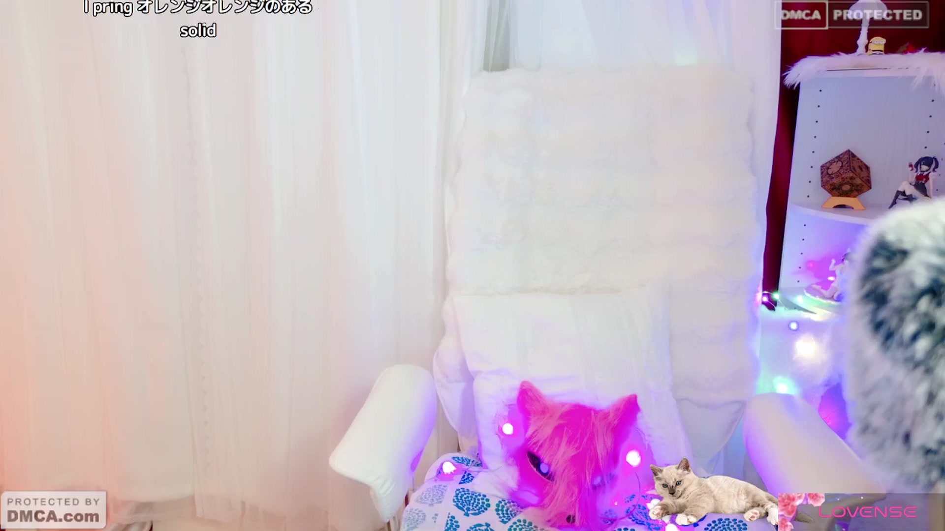 Gallery image thumbnail from meows's myfreecams stream on, 05/26/2024, 05:48 image 15 of 20