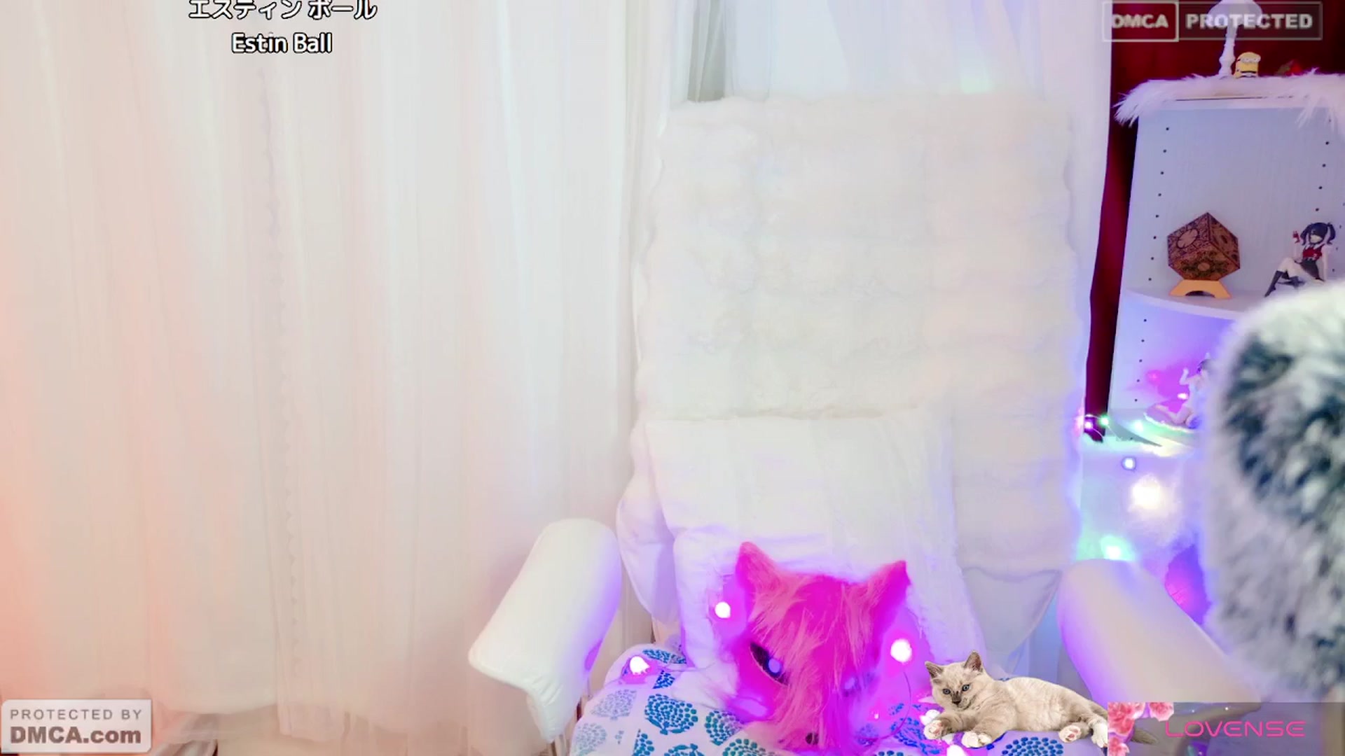 Gallery image thumbnail from meows's myfreecams stream on, 05/26/2024, 05:48 image 14 of 20