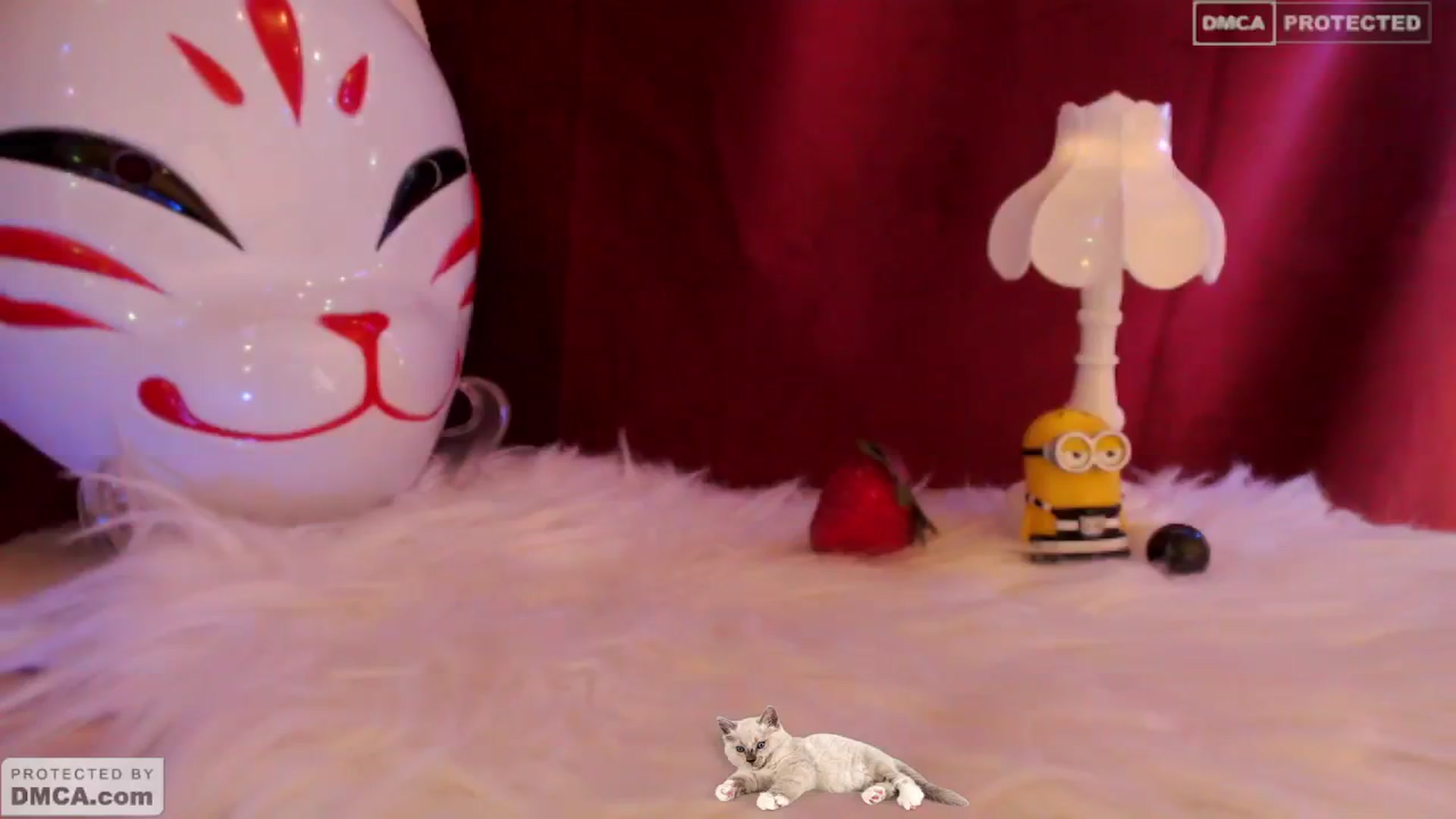 Gallery image thumbnail from meows's myfreecams stream on, 05/26/2024, 05:48 image 2 of 20