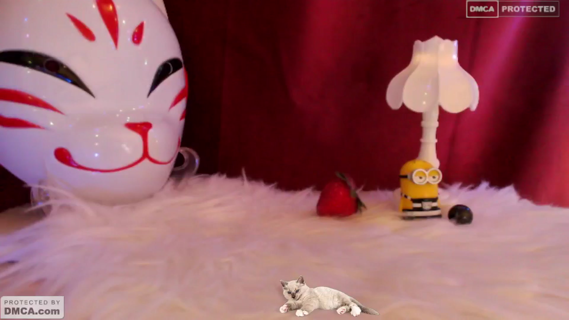 Gallery image thumbnail from meows's myfreecams stream on, 05/26/2024, 05:48 image 1 of 20