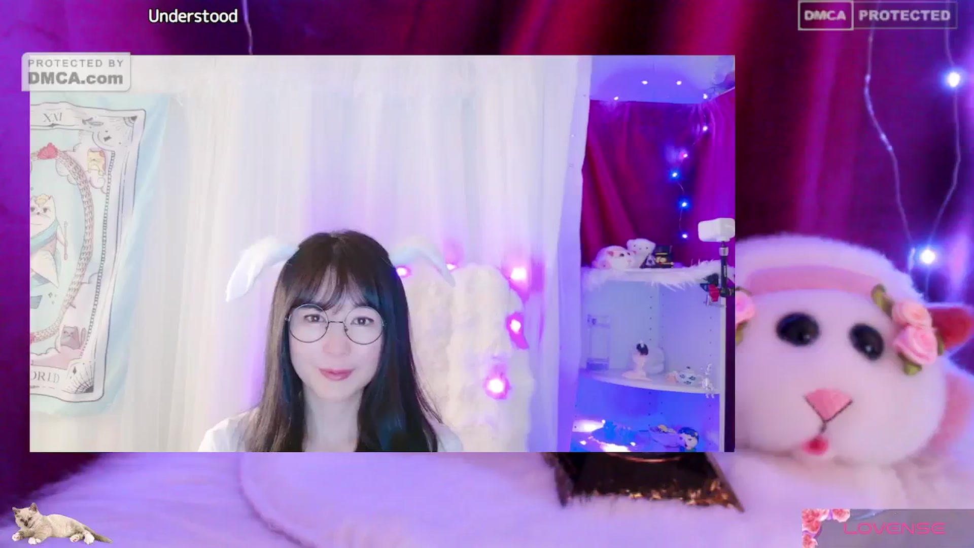 Gallery image thumbnail from meows's myfreecams stream on, 06/08/2024, 05:11 image 12 of 20