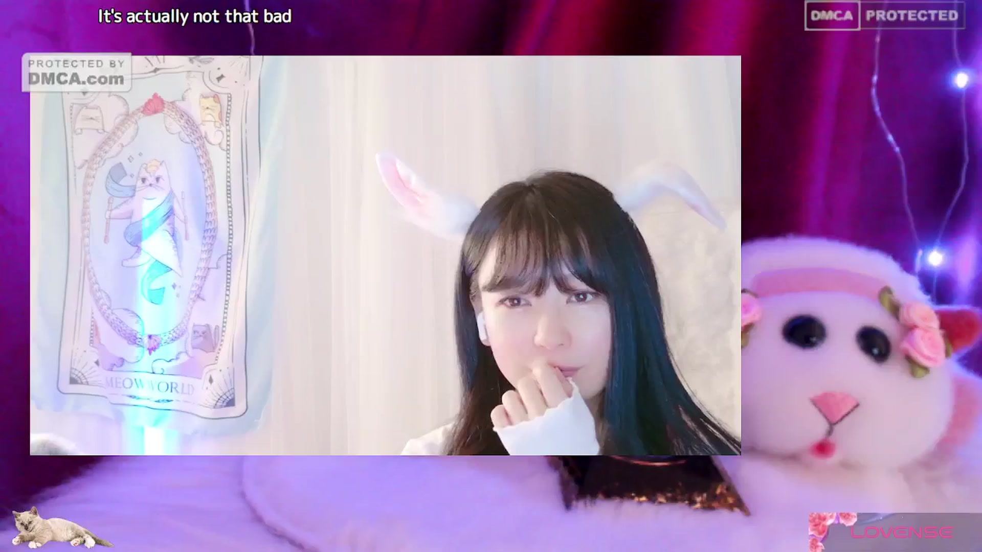Gallery image thumbnail from meows's myfreecams stream on, 06/08/2024, 05:11 image 16 of 20
