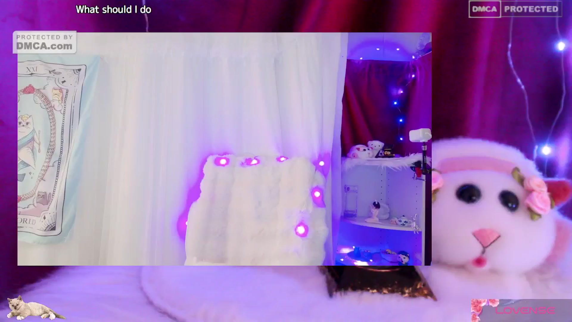 Gallery image thumbnail from meows's myfreecams stream on, 06/08/2024, 05:11 image 14 of 20
