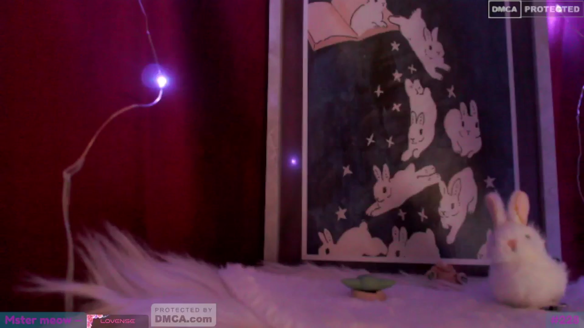 Gallery image thumbnail from meows's myfreecams stream on, 06/23/2024, 06:19 image 6 of 20