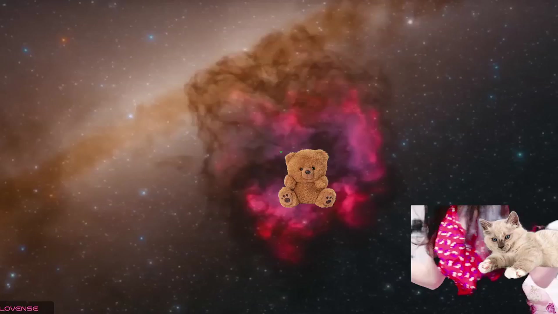 Gallery image thumbnail from meows's myfreecams stream on, 08/11/2024, 04:34 image 16 of 20