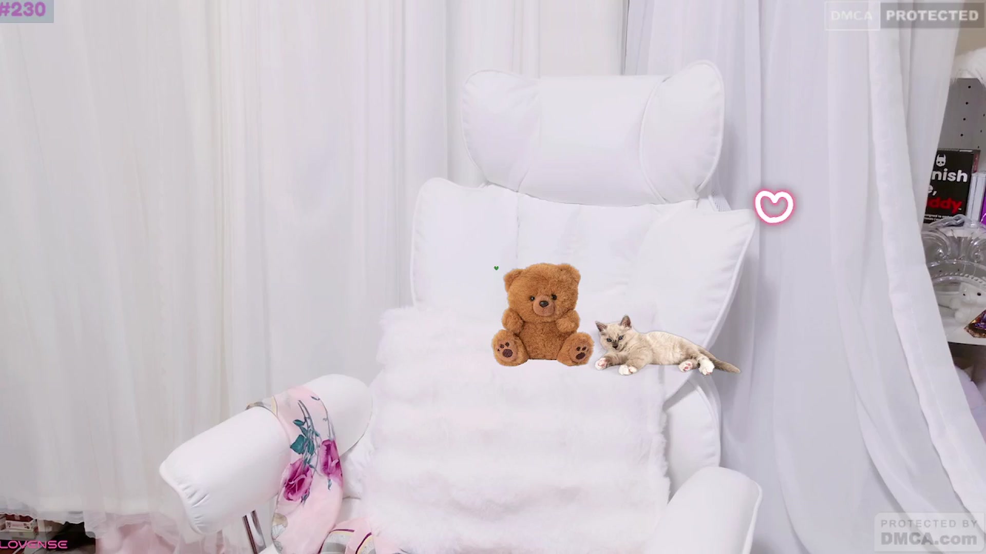 Gallery image thumbnail from meows's myfreecams stream on, 08/11/2024, 04:34 image 14 of 20