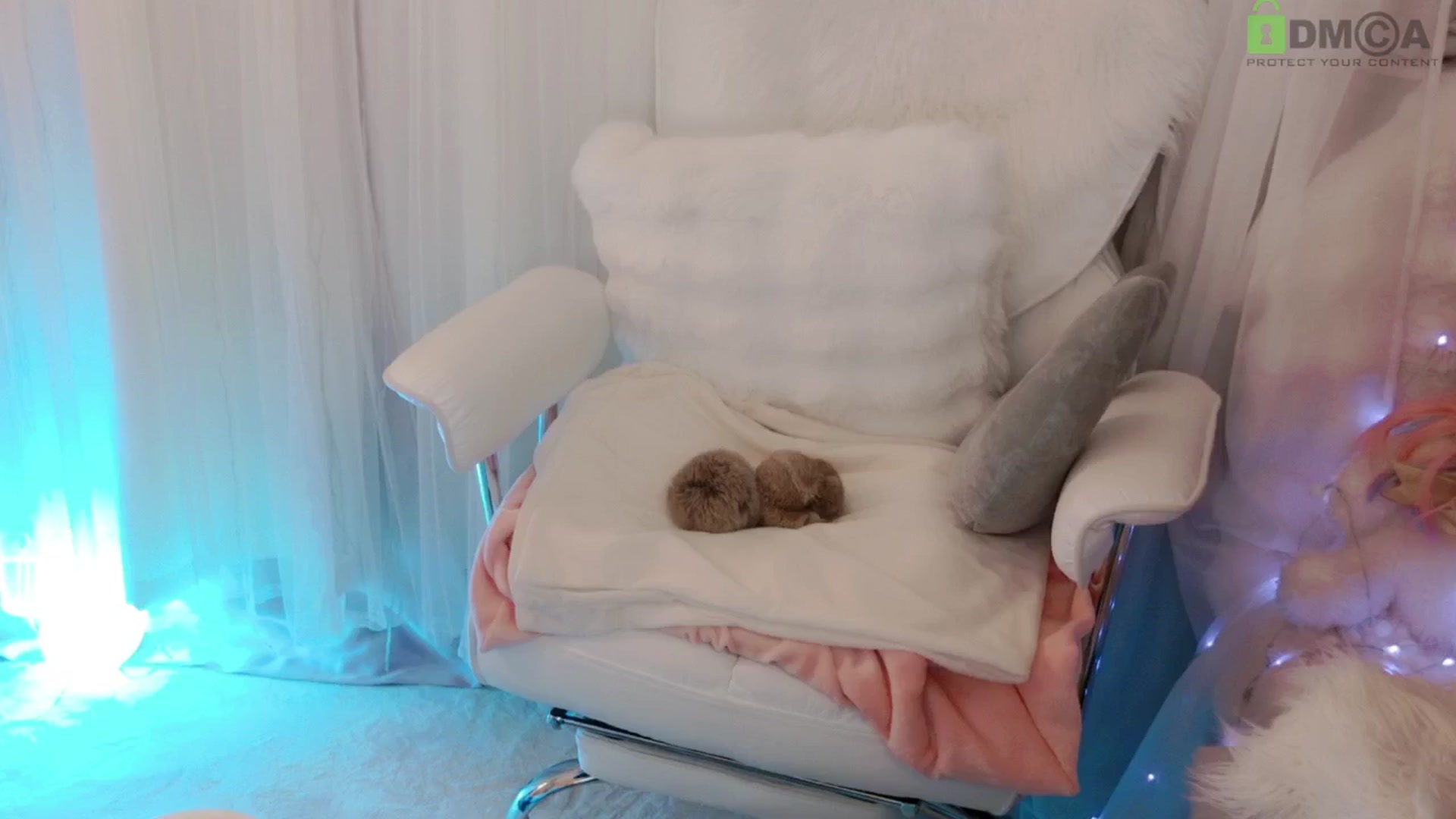 Gallery image thumbnail from meowtheworld's myfreecams stream on, 06/26/2025, 05:30 image 6 of 20