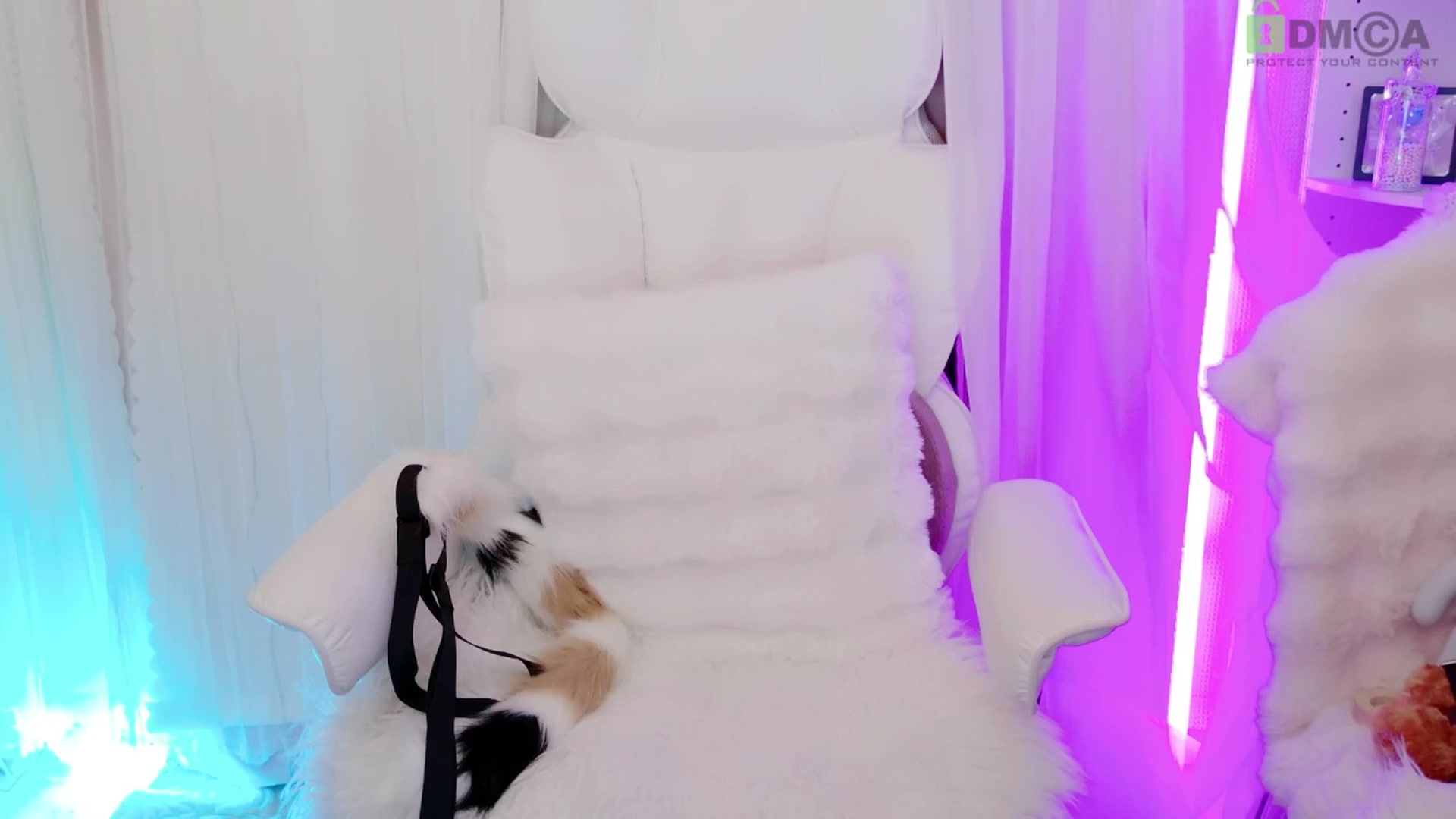 Gallery image thumbnail from meowtheworld's myfreecams stream on, 08/24/2025, 07:37 image 4 of 20