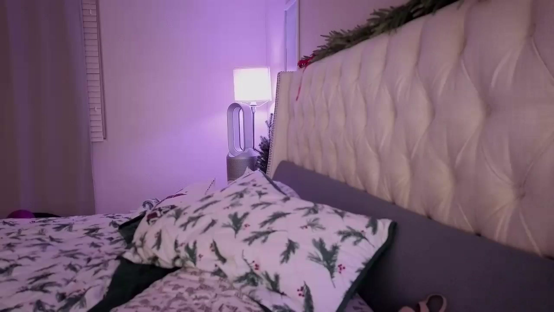 Gallery image thumbnail from merrydickmas's myfreecams stream on, 12/25/2025, 05:44 image 20 of 20