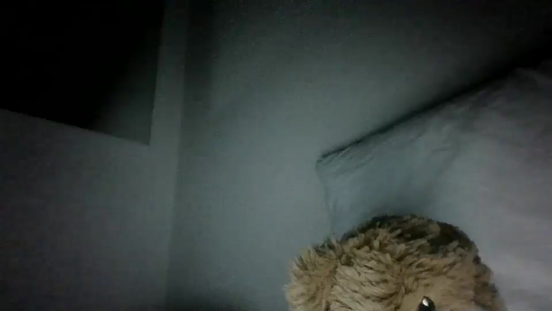 Gallery image thumbnail from mia2blood's myfreecams stream on, 06/01/2024, 19:28 image 11 of 20