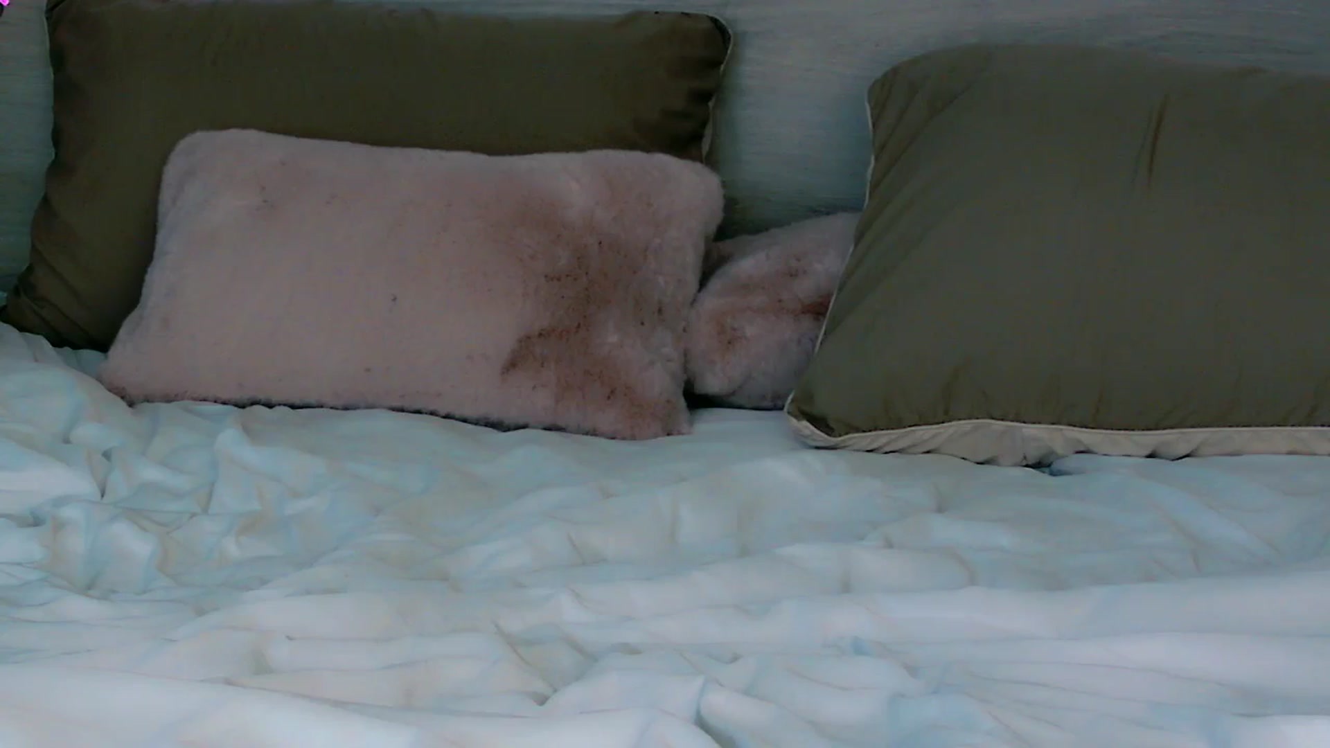 Gallery image thumbnail from mia4sin's myfreecams stream on, 01/22/2026, 09:28 image 7 of 20