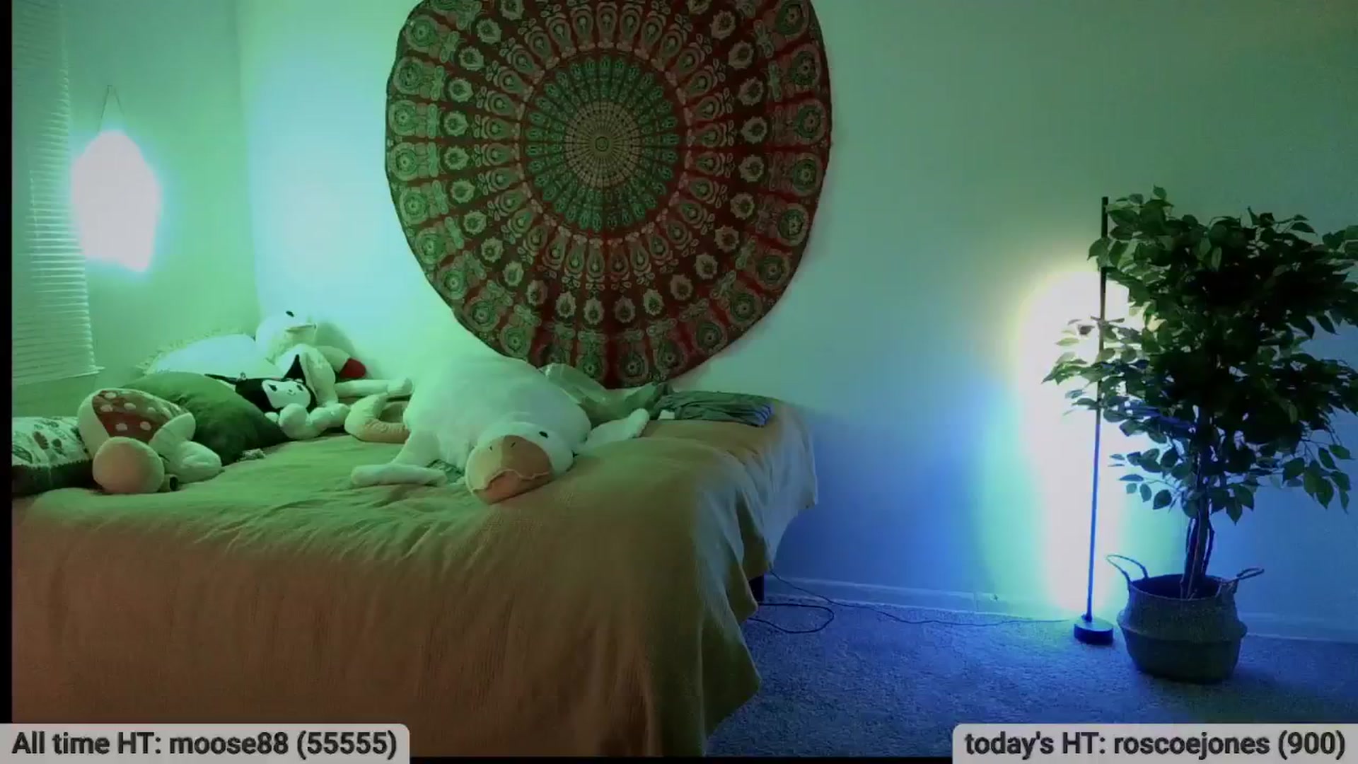 Gallery image thumbnail from mikachu's myfreecams stream on, 01/25/2026, 06:13 image 11 of 20