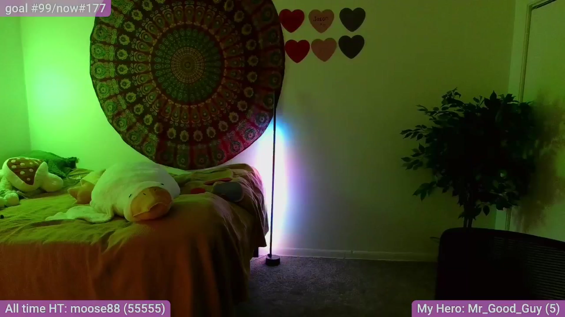Gallery image thumbnail from mikachu's myfreecams stream on, 02/03/2026, 05:28 image 8 of 20