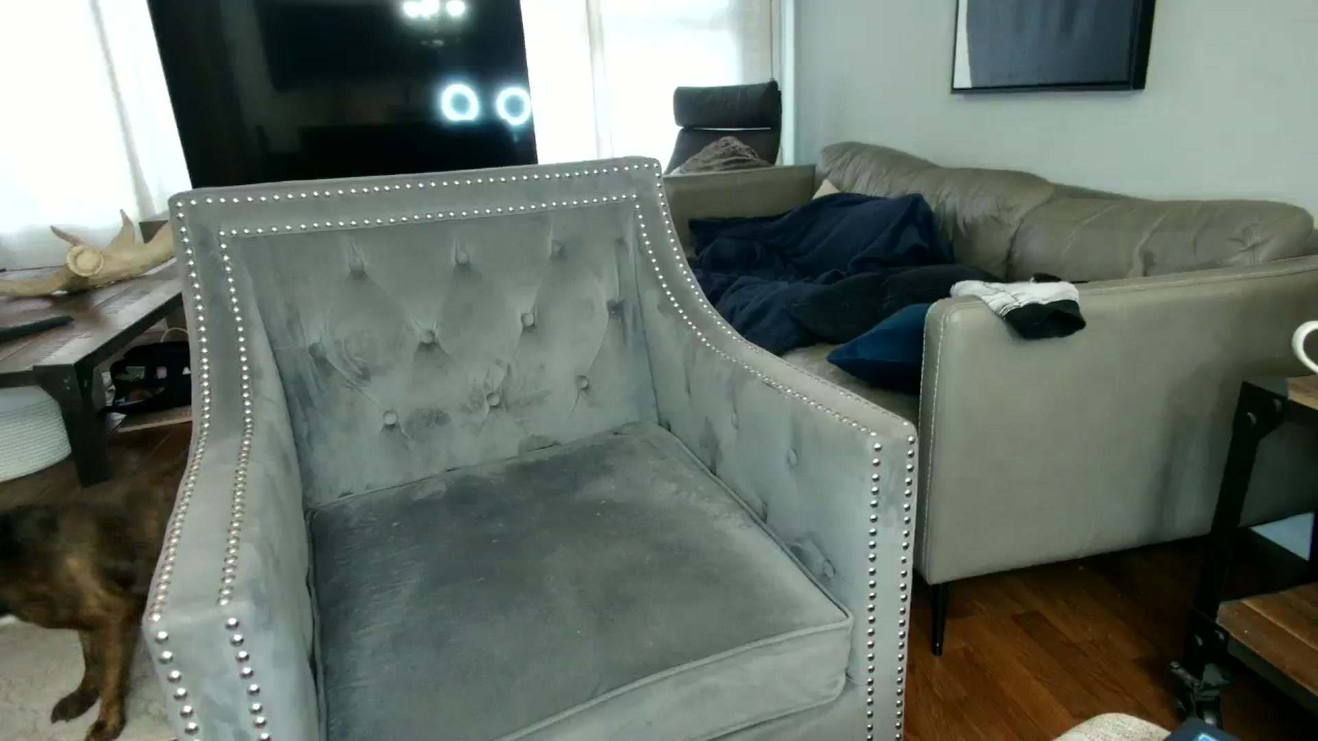 Gallery image thumbnail from milfybaby's myfreecams stream on, 08/30/2023, 13:28 image 10 of 20