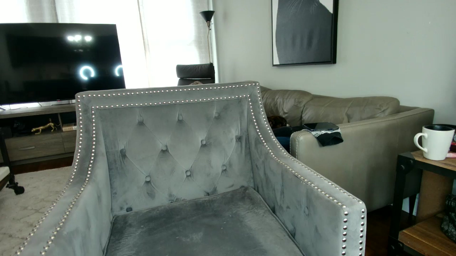 Gallery image thumbnail from milfybaby's myfreecams stream on, 08/30/2023, 14:31 image 17 of 20