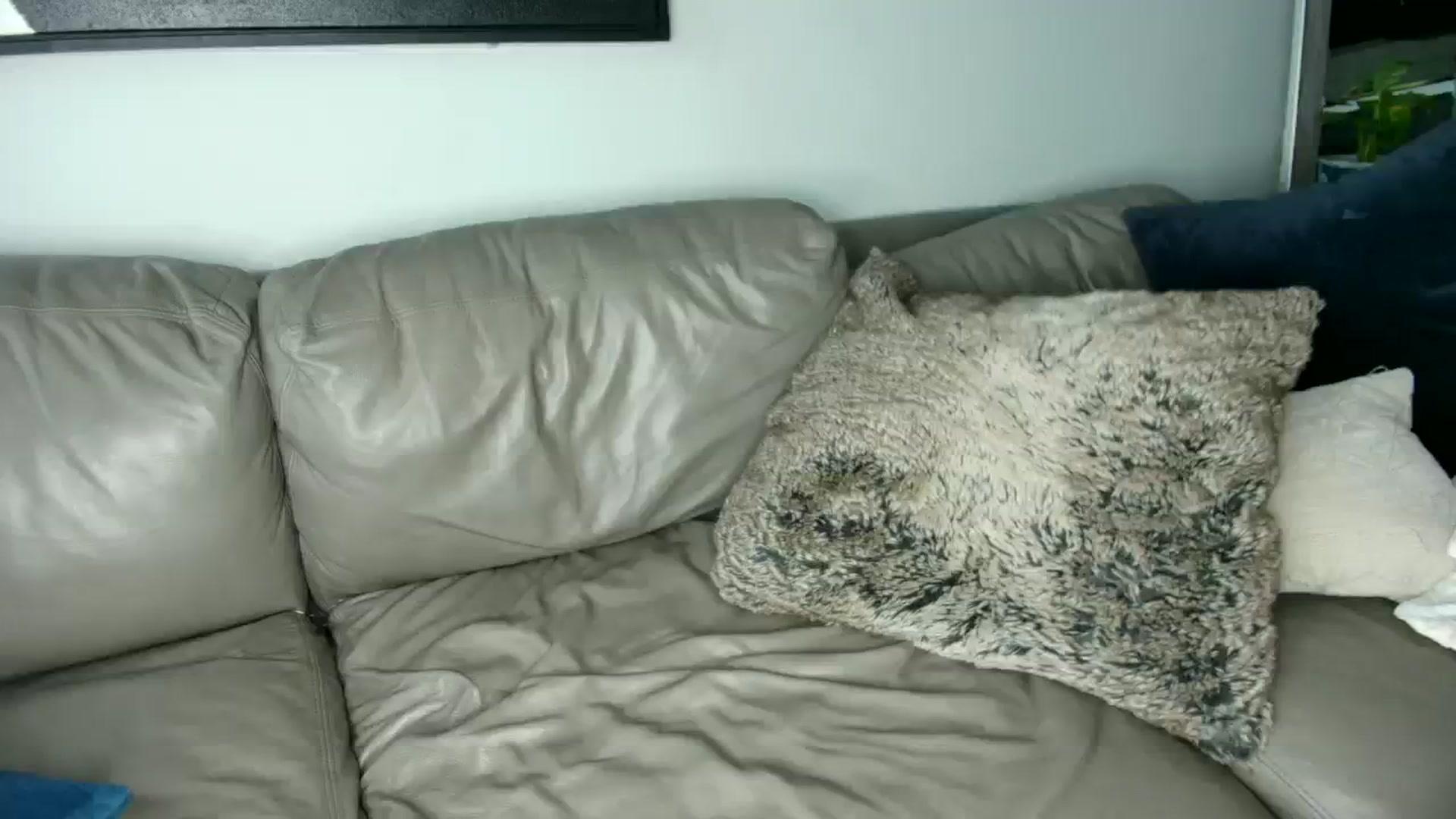 Gallery image thumbnail from milfybaby's myfreecams stream on, 09/12/2023, 17:29 image 7 of 20
