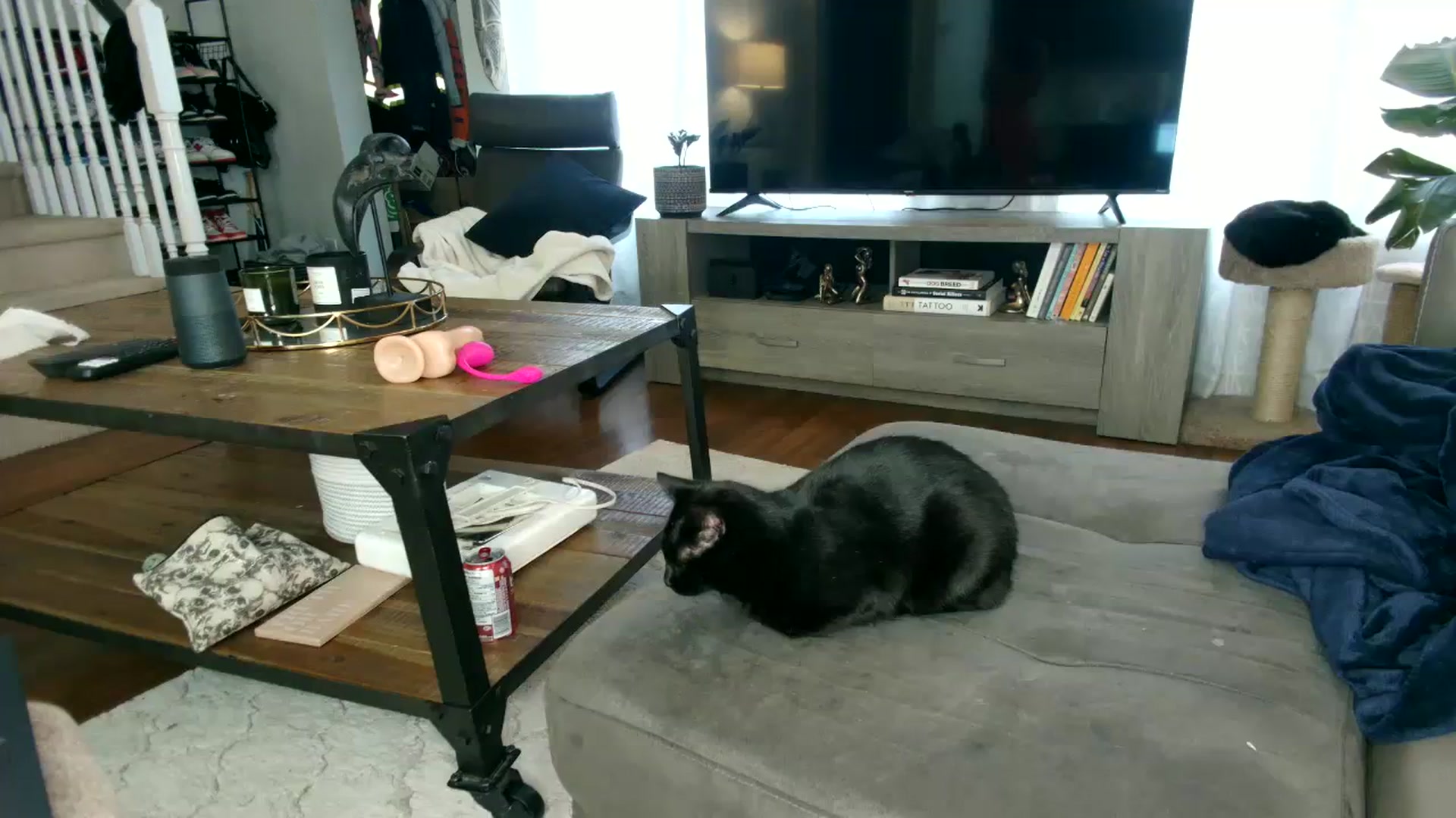 Gallery image thumbnail from milfybaby's myfreecams stream on, 09/13/2023, 12:35 image 15 of 20