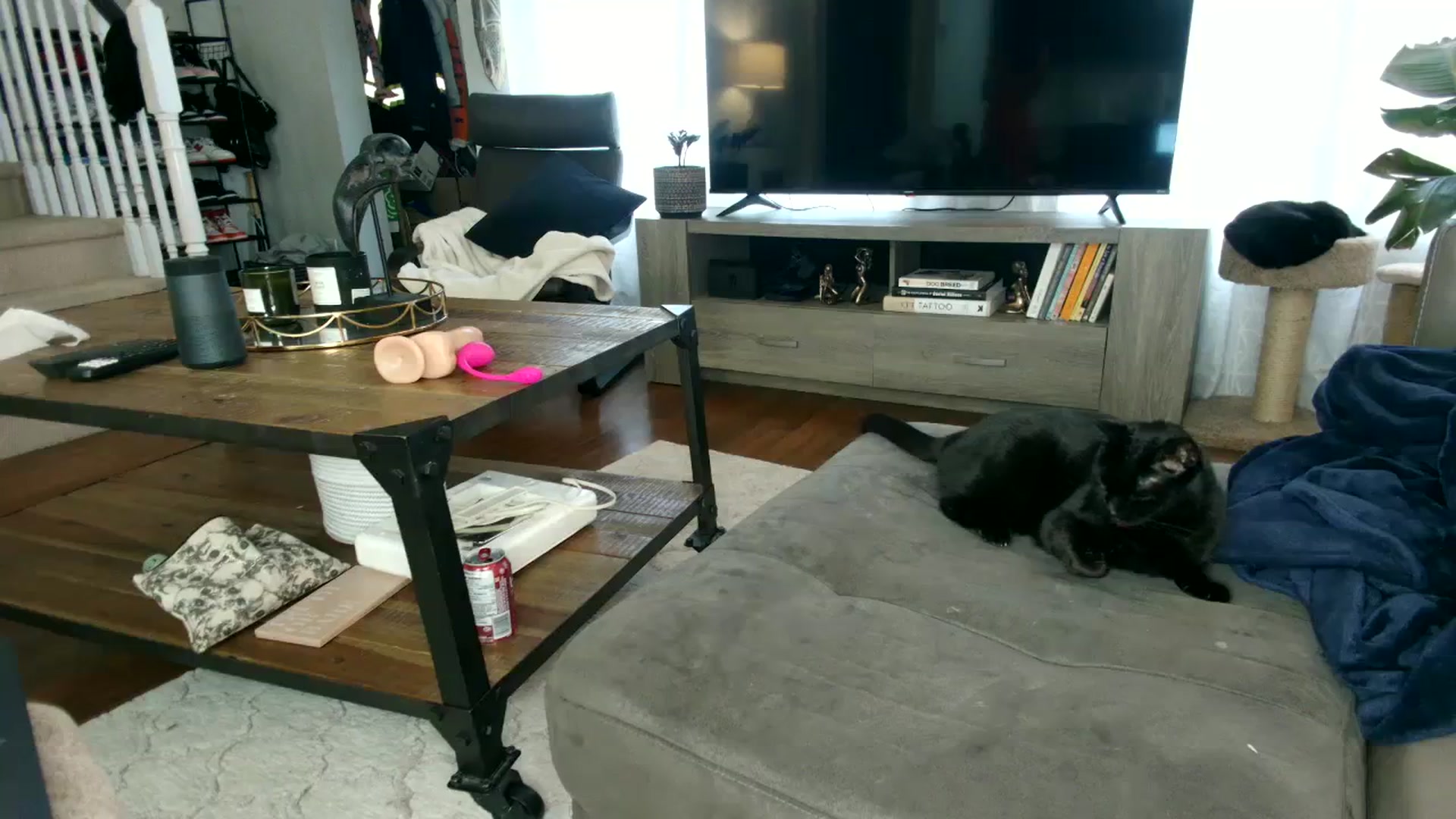 Gallery image thumbnail from milfybaby's myfreecams stream on, 09/13/2023, 12:35 image 14 of 20