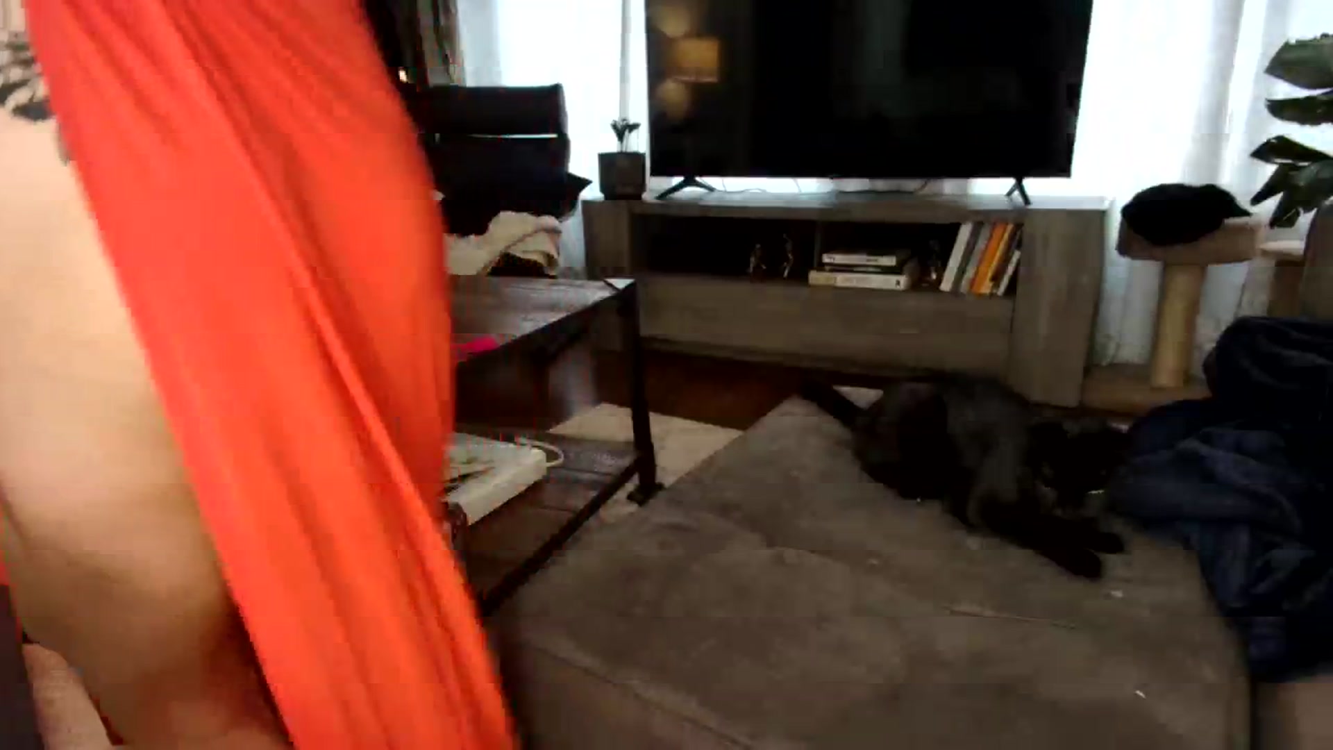 Gallery image thumbnail from milfybaby's myfreecams stream on, 09/13/2023, 12:35 image 13 of 20