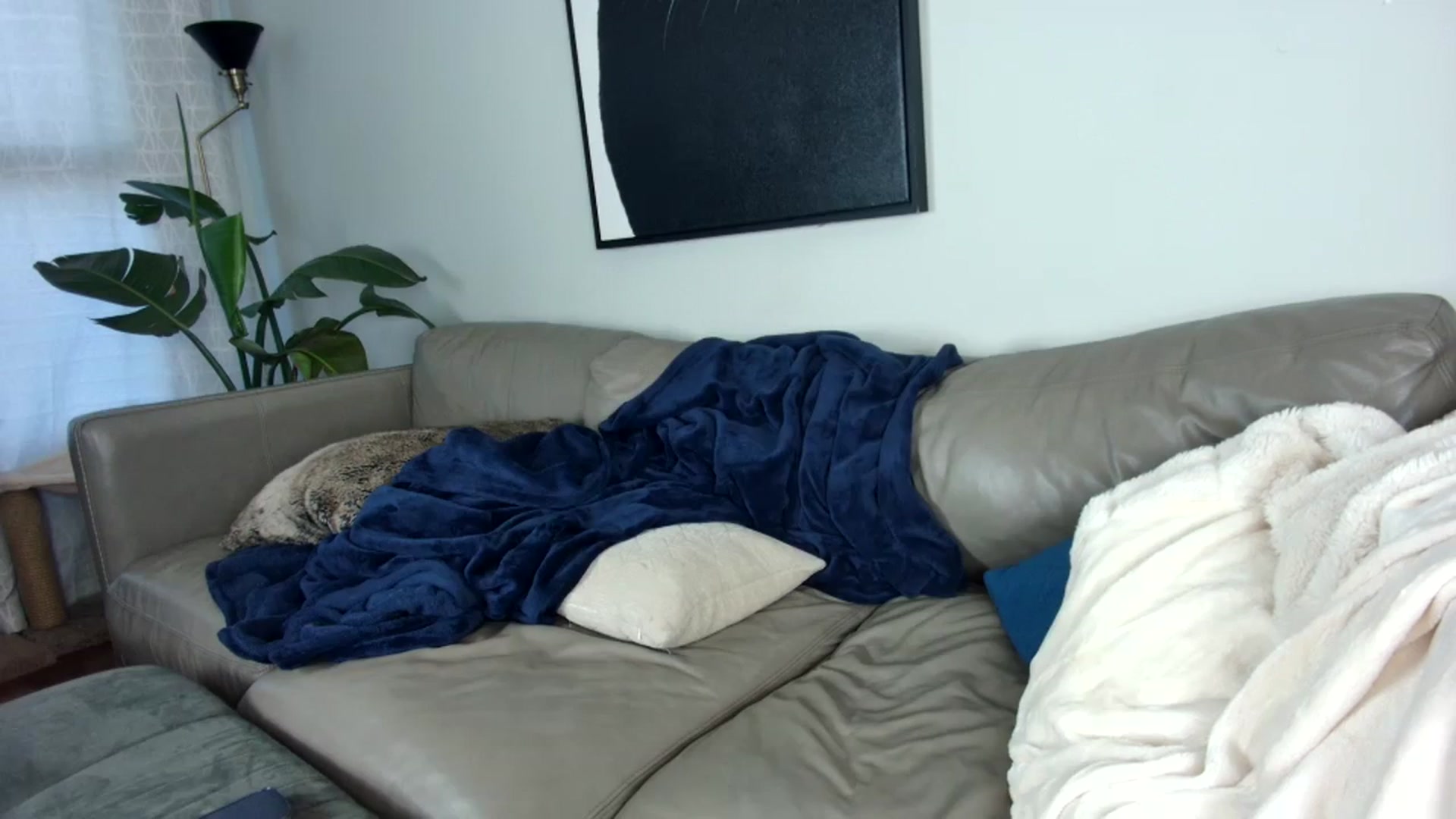 Gallery image thumbnail from milfybaby's myfreecams stream on, 09/15/2023, 12:25 image 3 of 20