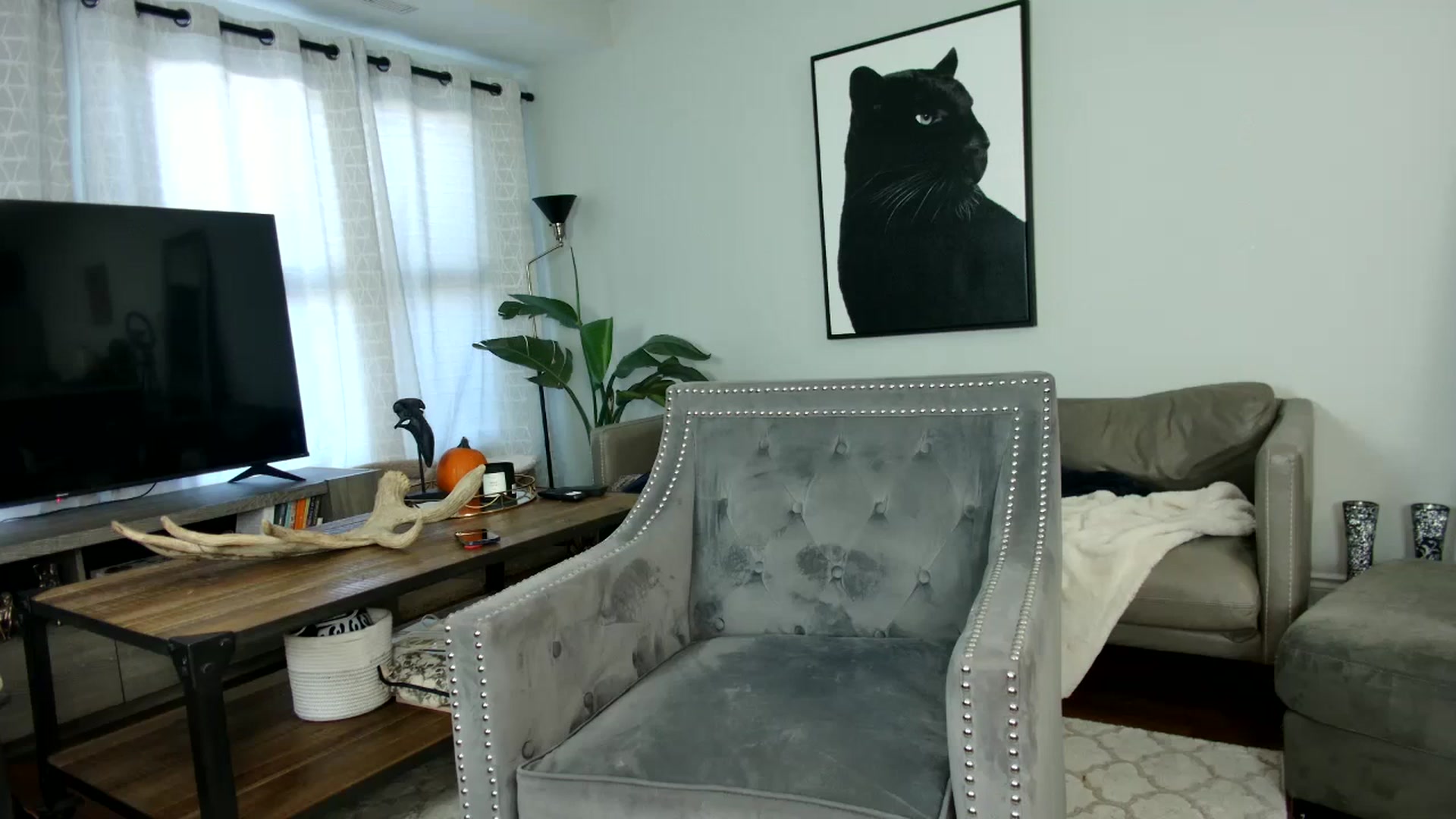 Gallery image thumbnail from milfybaby's myfreecams stream on, 09/15/2023, 17:29 image 8 of 20