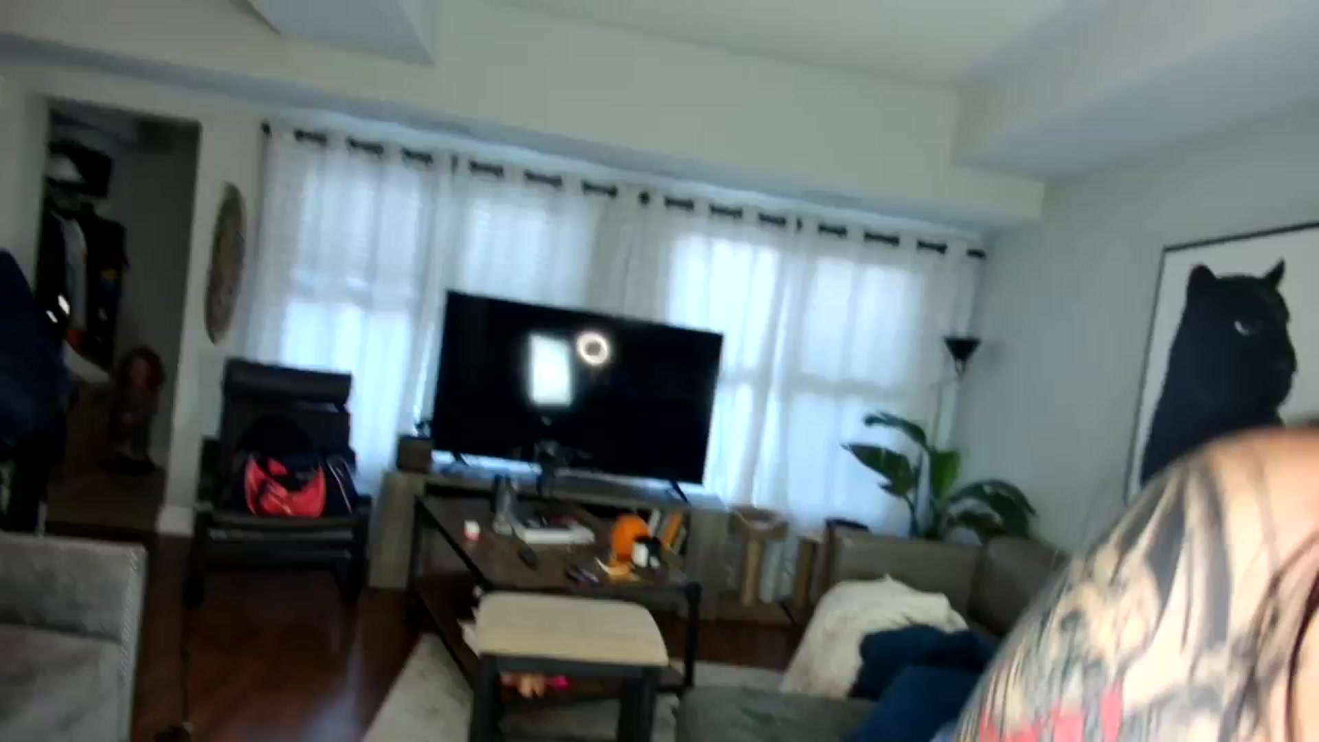 Gallery image thumbnail from milfybaby's myfreecams stream on, 09/19/2023, 15:57 image 1 of 20