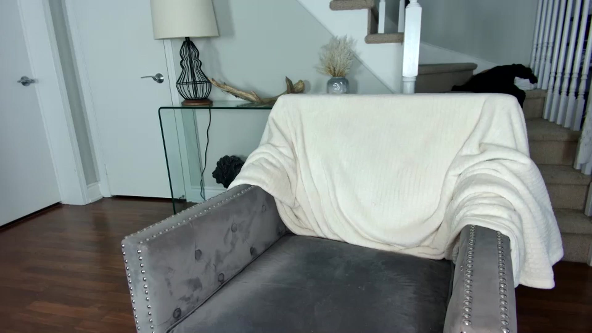 Gallery image thumbnail from milfybaby's myfreecams stream on, 09/20/2023, 17:41 image 19 of 20