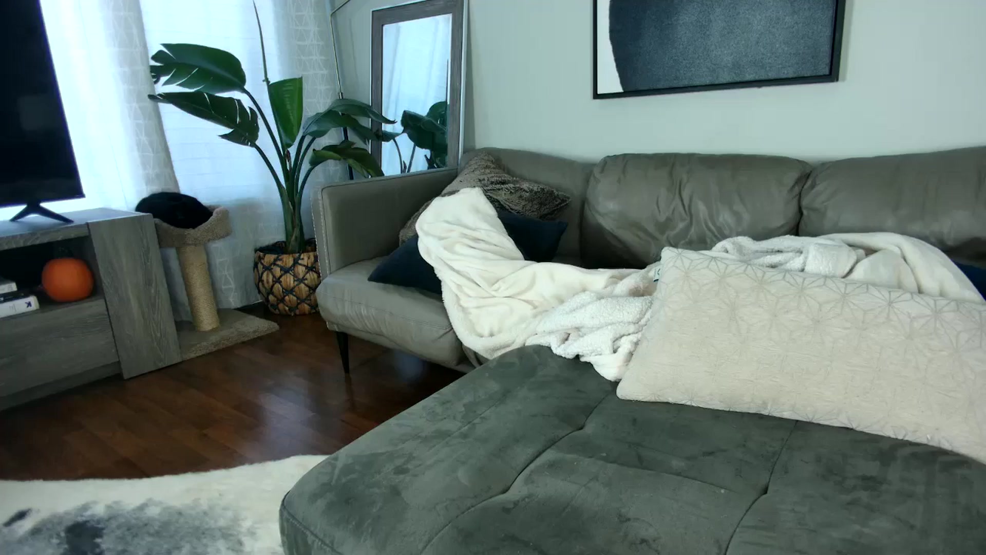Gallery image thumbnail from milfybaby's myfreecams stream on, 09/23/2023, 15:13 image 15 of 20