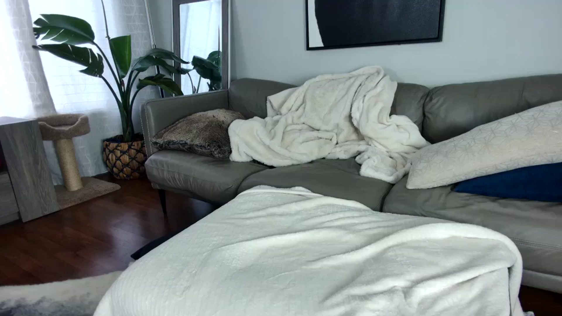 Gallery image thumbnail from milfybaby's myfreecams stream on, 09/23/2023, 16:49 image 1 of 20