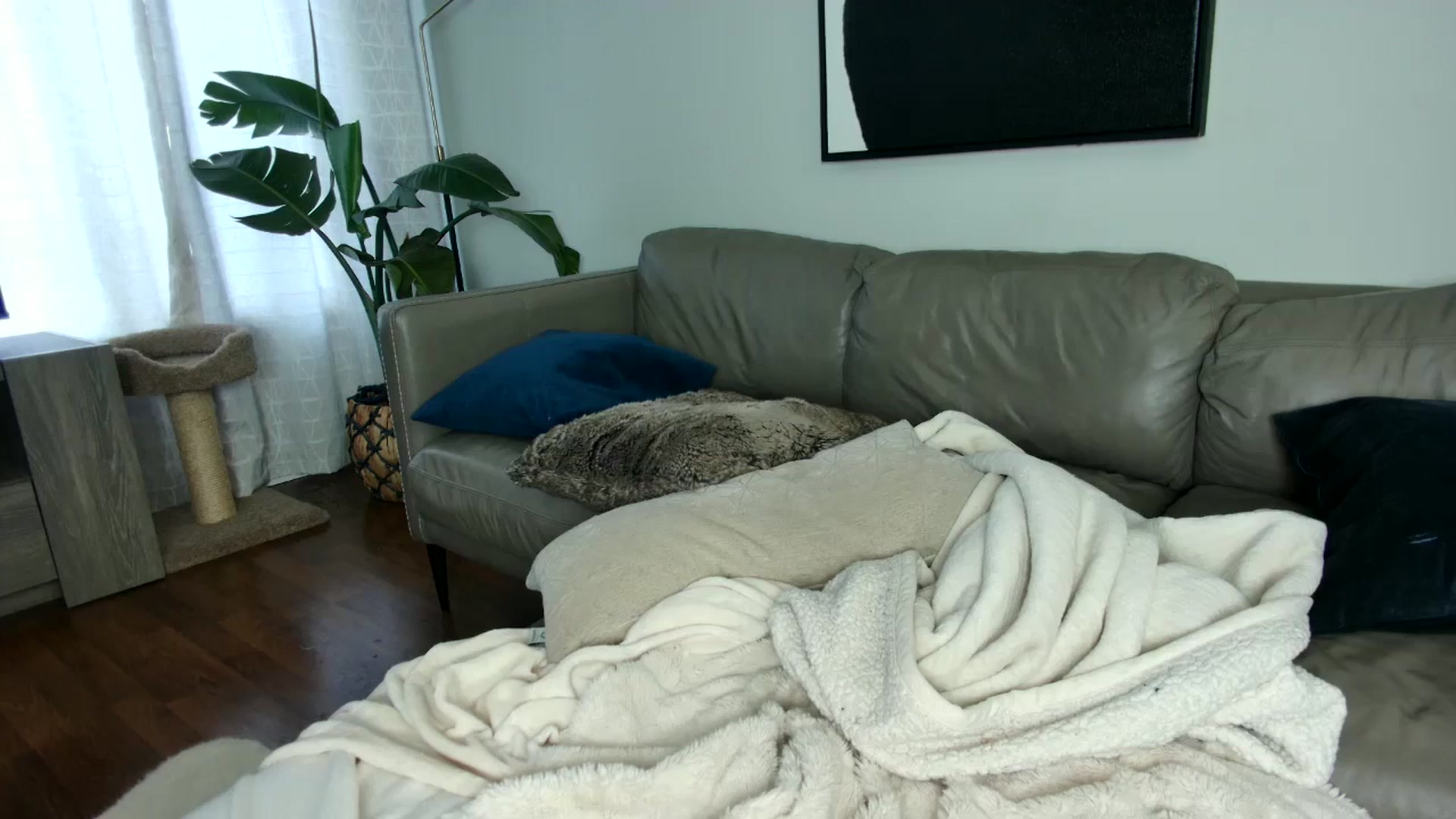 Gallery image thumbnail from milfybaby's myfreecams stream on, 09/27/2023, 14:37 image 1 of 20