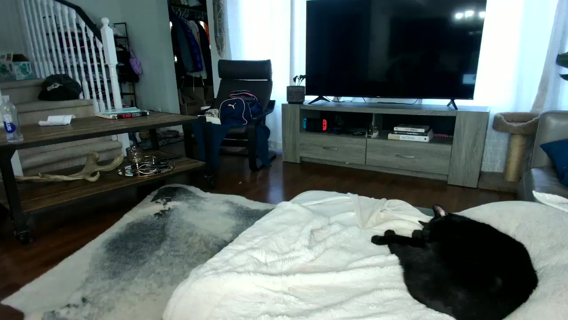 Gallery image thumbnail from milfybaby's myfreecams stream on, 09/27/2023, 15:34 image 7 of 20