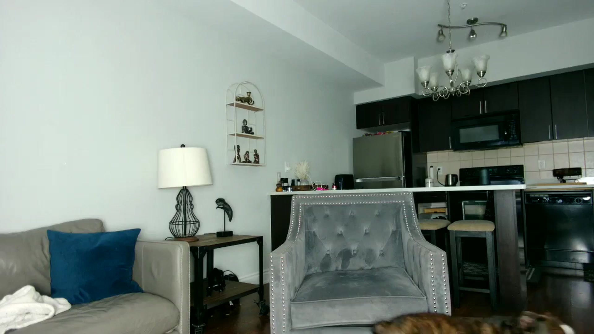 Gallery image thumbnail from milfybaby's myfreecams stream on, 09/28/2023, 12:59 image 15 of 20