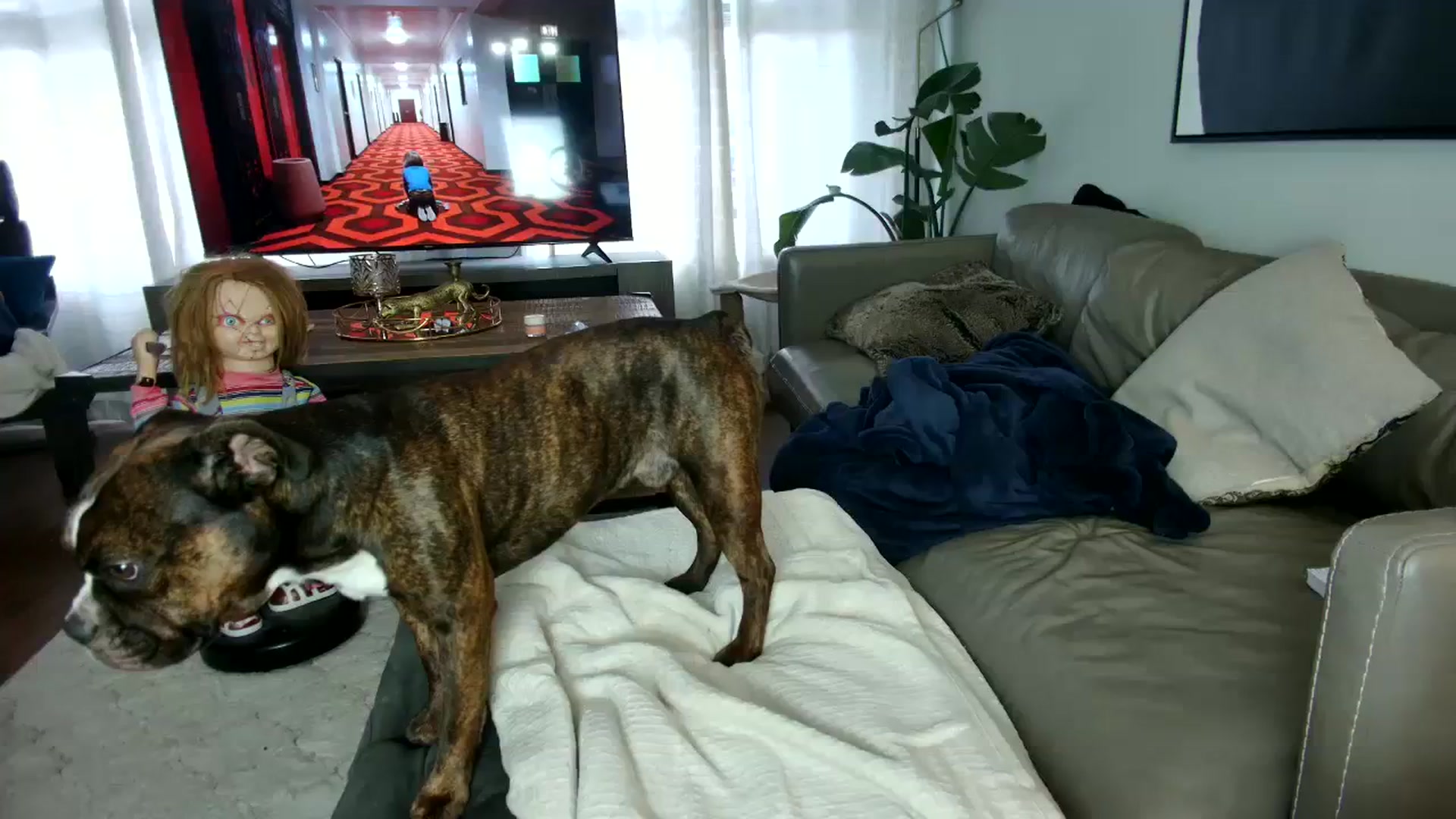 Gallery image thumbnail from milfybaby's myfreecams stream on, 10/17/2023, 17:56 image 15 of 20