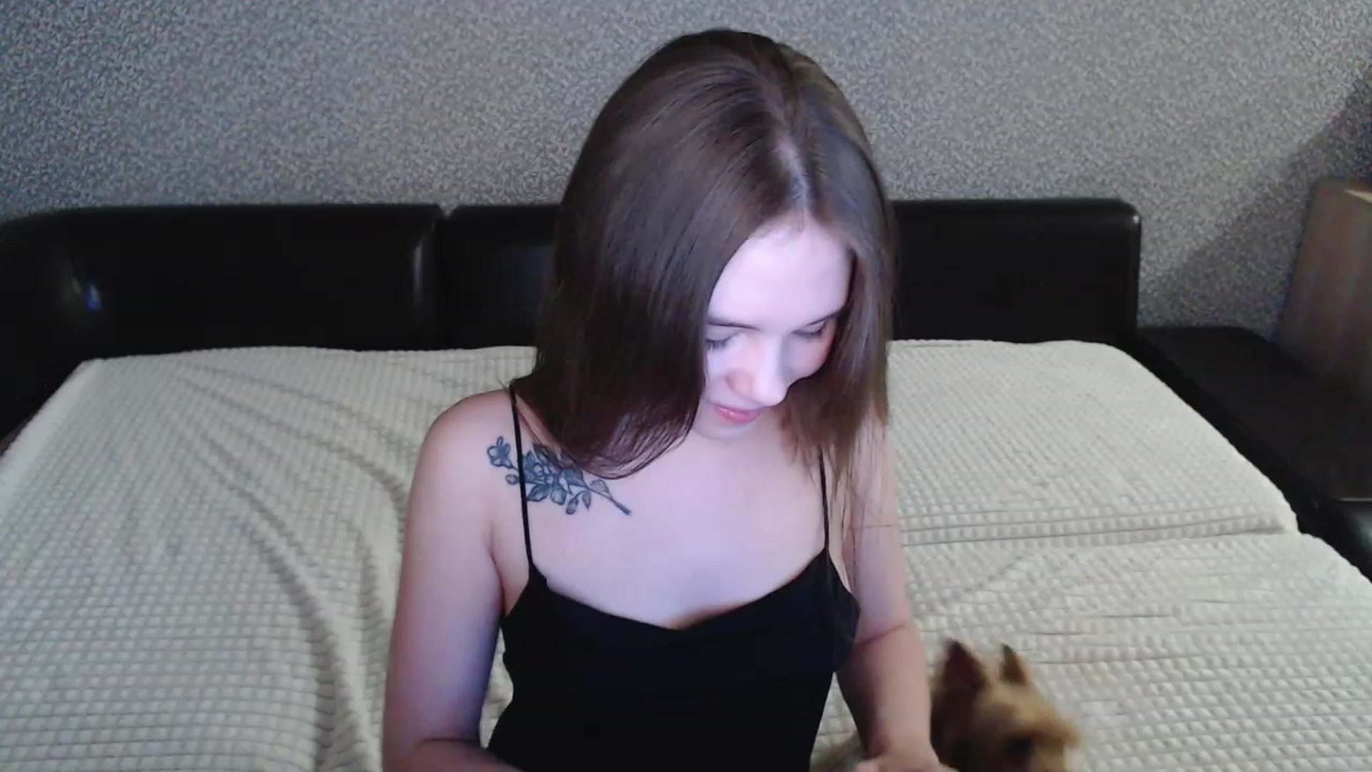 Gallery image thumbnail from minishy's myfreecams stream on, 02/18/2023, 19:10 image 20 of 20