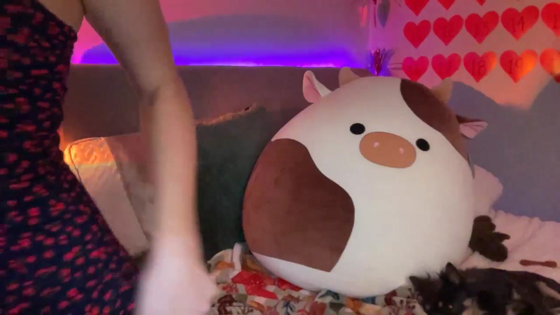 Gallery image thumbnail from mischa's myfreecams stream on, 02/15/2025, 03:46 image 17 of 20