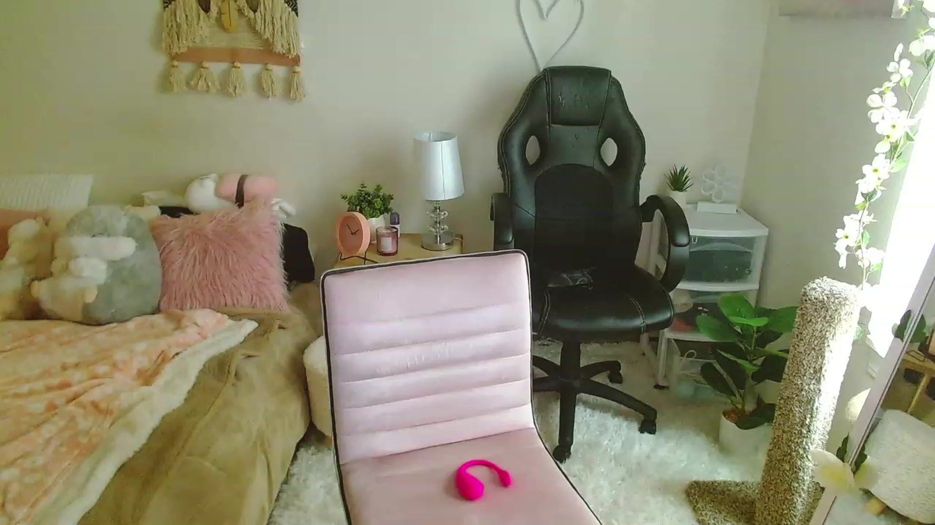 Gallery image thumbnail from misiu98's myfreecams stream on, 12/02/2022, 19:09 image 5 of 20
