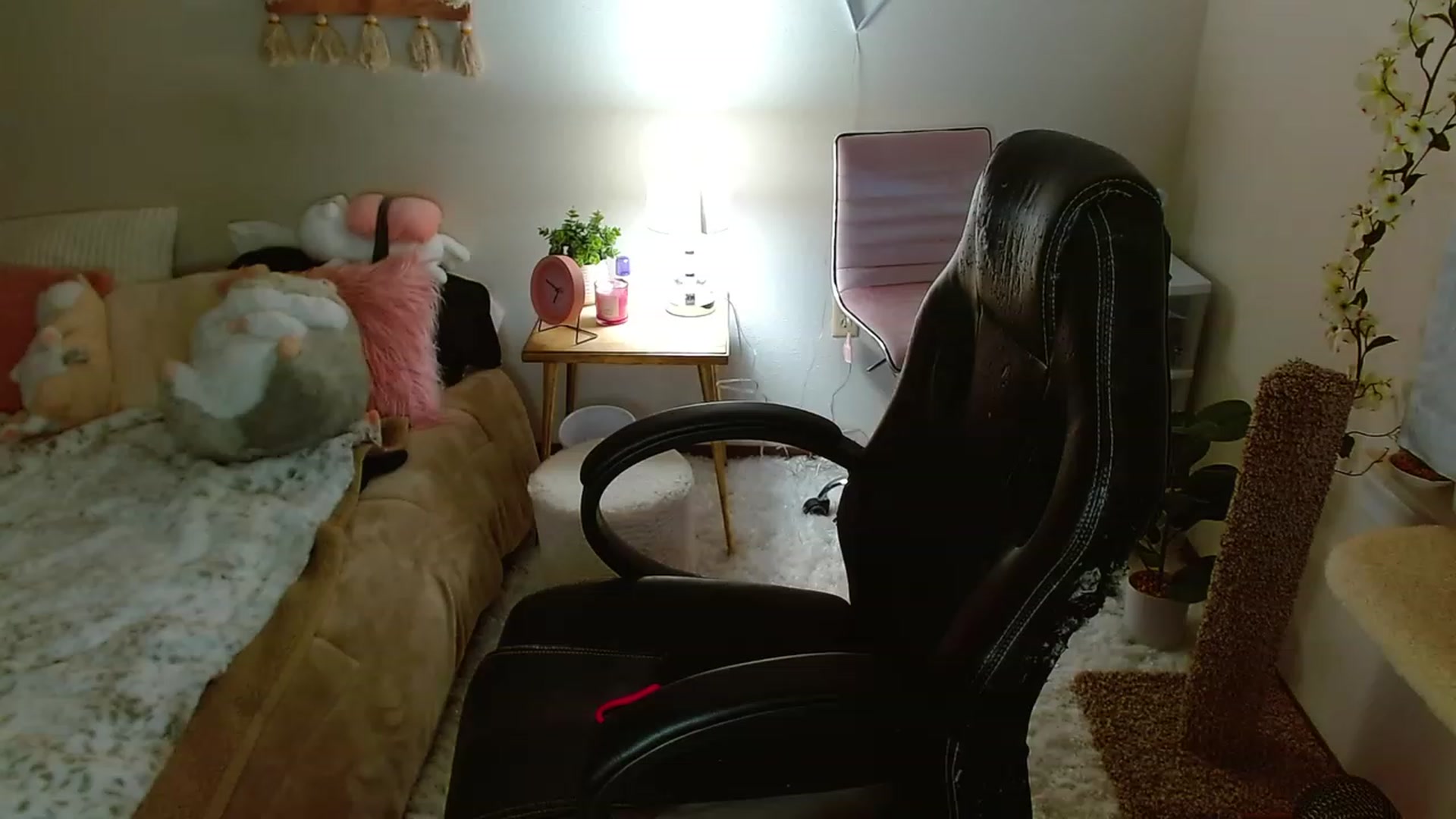 Gallery image thumbnail from misiu98's myfreecams stream on, 12/04/2022, 23:08 image 8 of 20