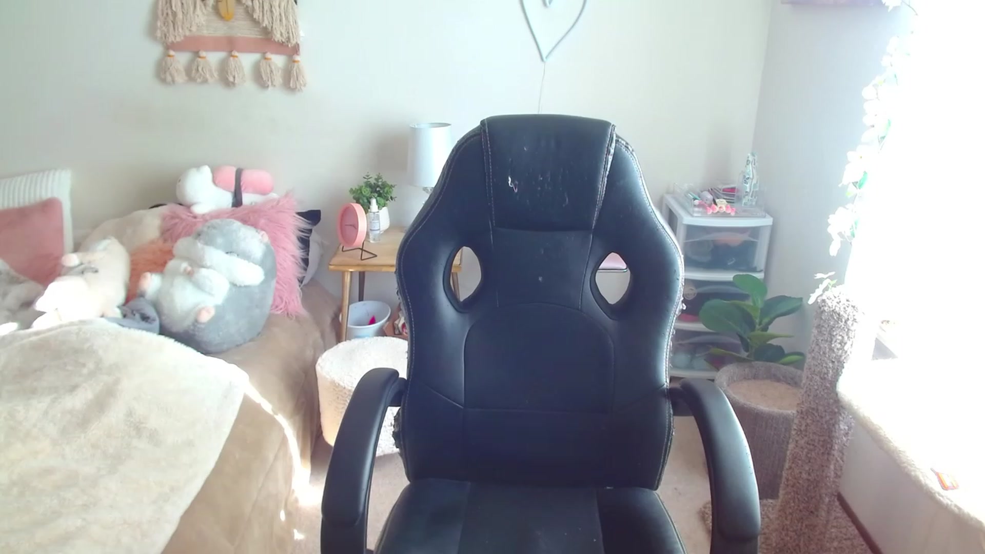 Gallery image thumbnail from misiu98's myfreecams stream on, 02/11/2023, 21:02 image 14 of 20