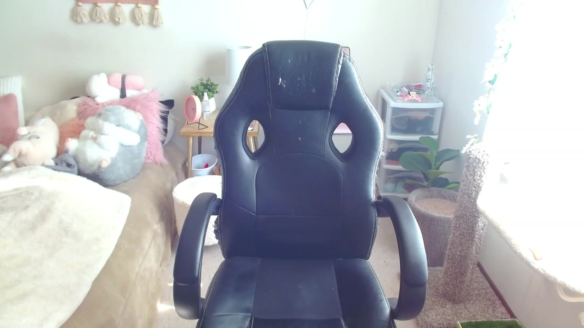 Gallery image thumbnail from misiu98's myfreecams stream on, 02/11/2023, 21:02 image 5 of 20