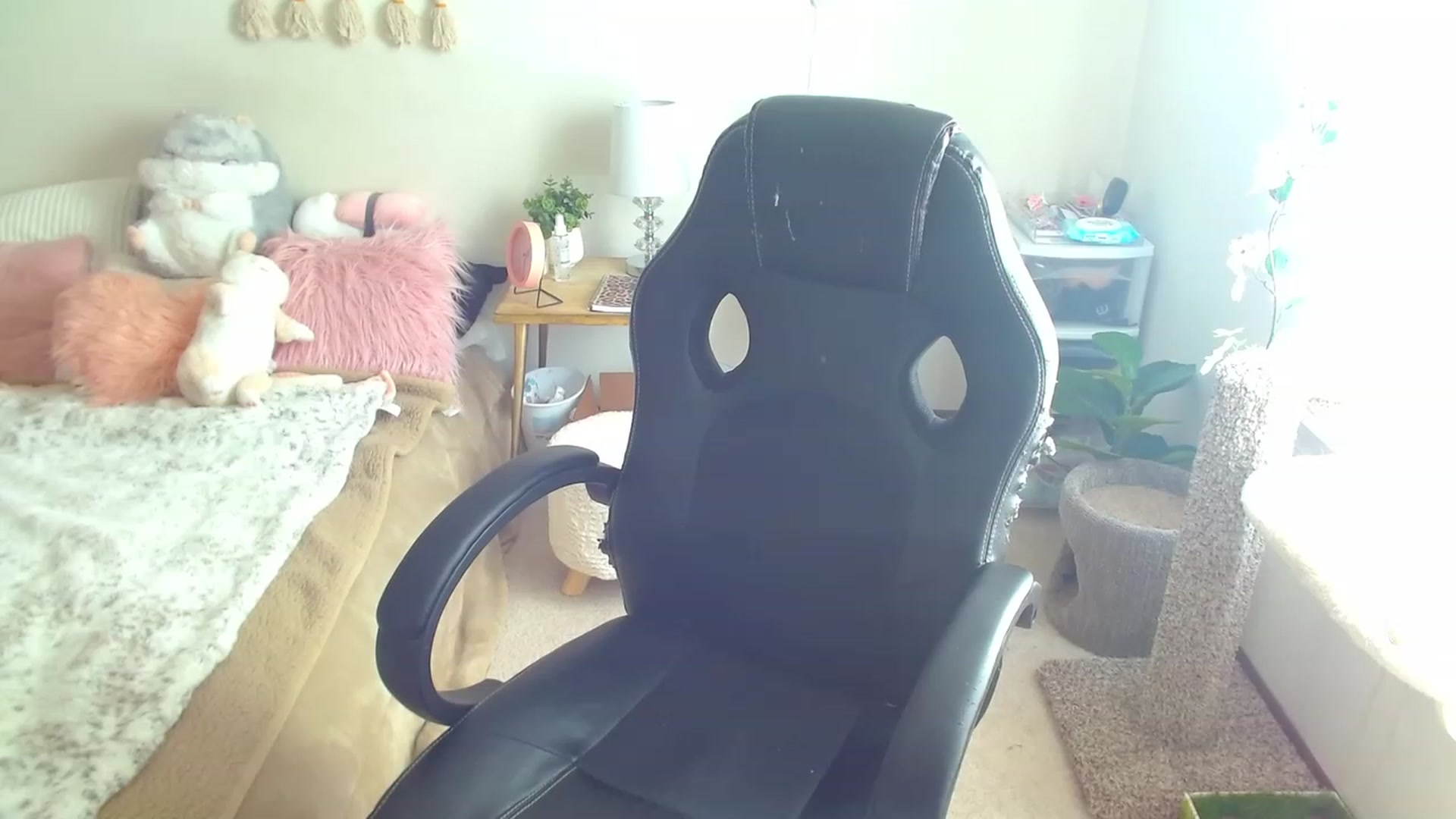 Gallery image thumbnail from misiu98's myfreecams stream on, 02/28/2023, 18:45 image 7 of 20