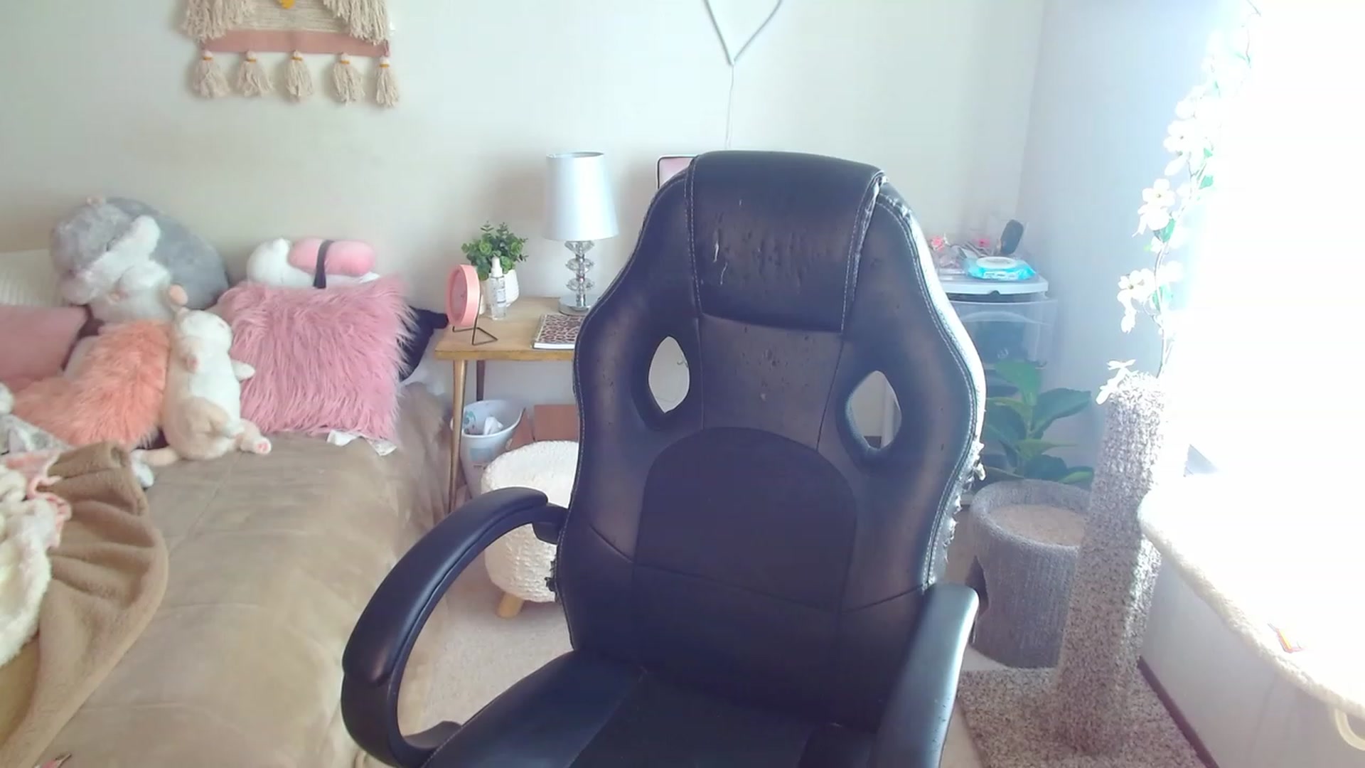 Gallery image thumbnail from misiu98's myfreecams stream on, 03/02/2023, 18:49 image 2 of 20