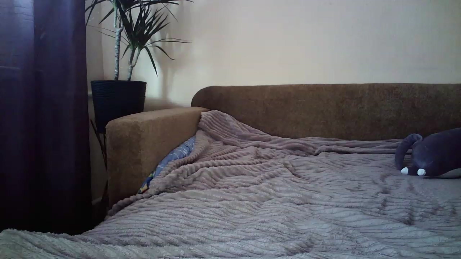 Gallery image thumbnail from miss_lolly_'s myfreecams stream on, 12/17/2022, 12:12 image 3 of 20