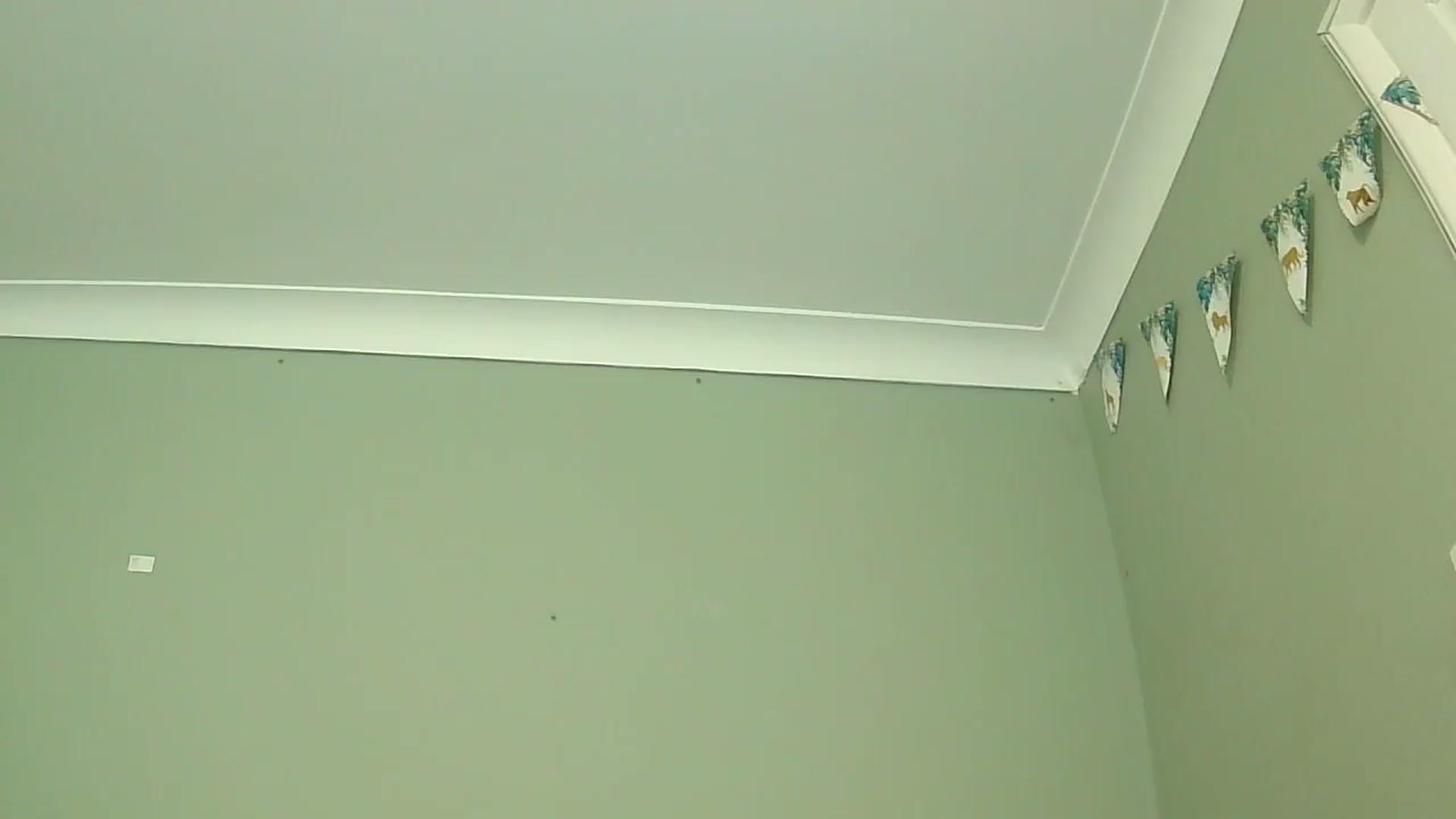 Gallery image thumbnail from misshazel1's myfreecams stream on, 01/07/2025, 10:57 image 11 of 20