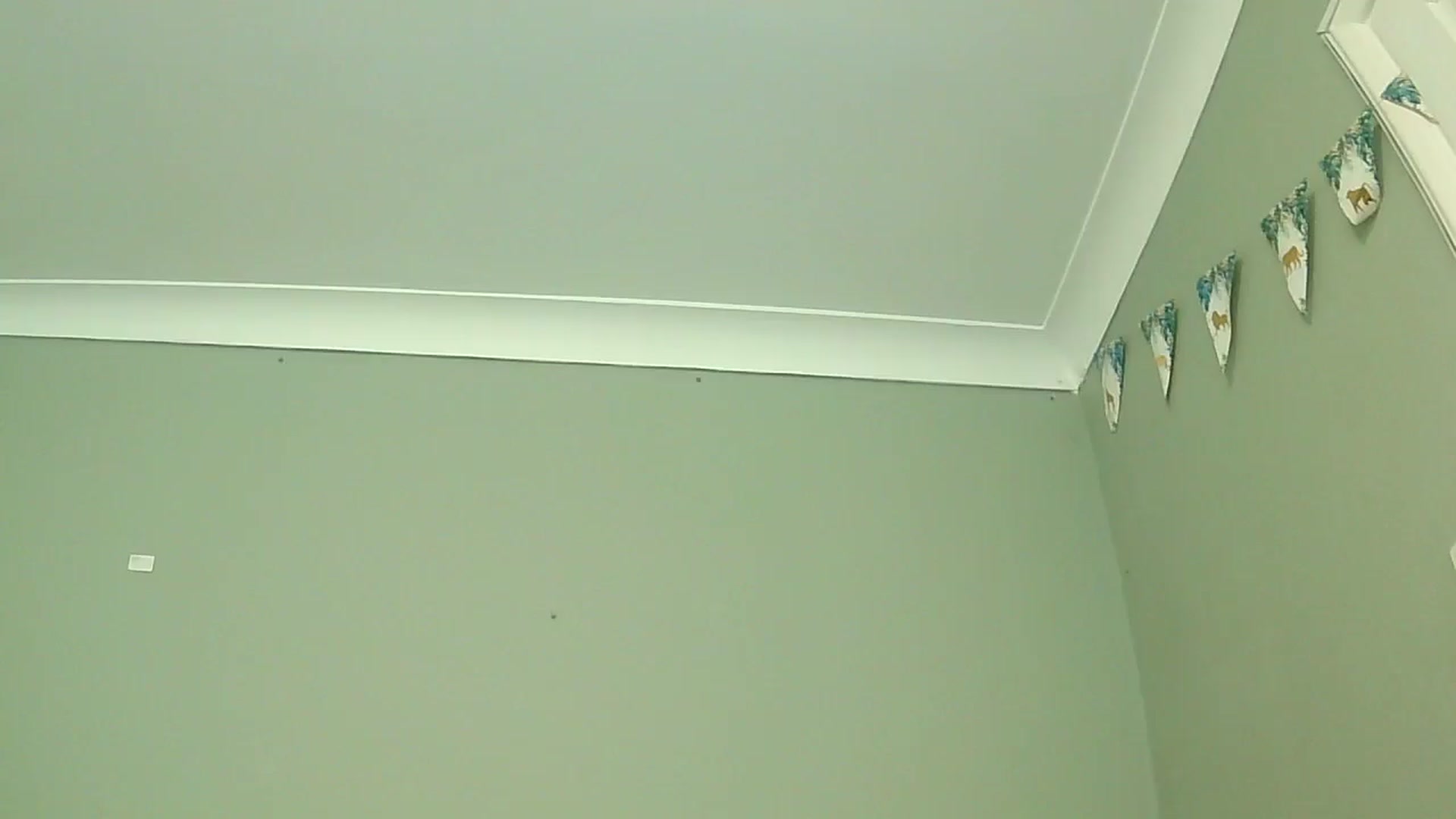 Gallery image thumbnail from misshazel1's myfreecams stream on, 01/07/2025, 10:57 image 8 of 20